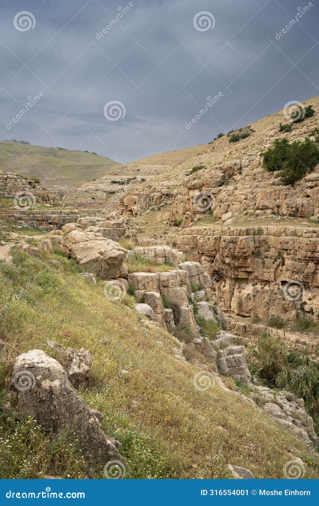 a landscape on the bank of the prat stream, israel
