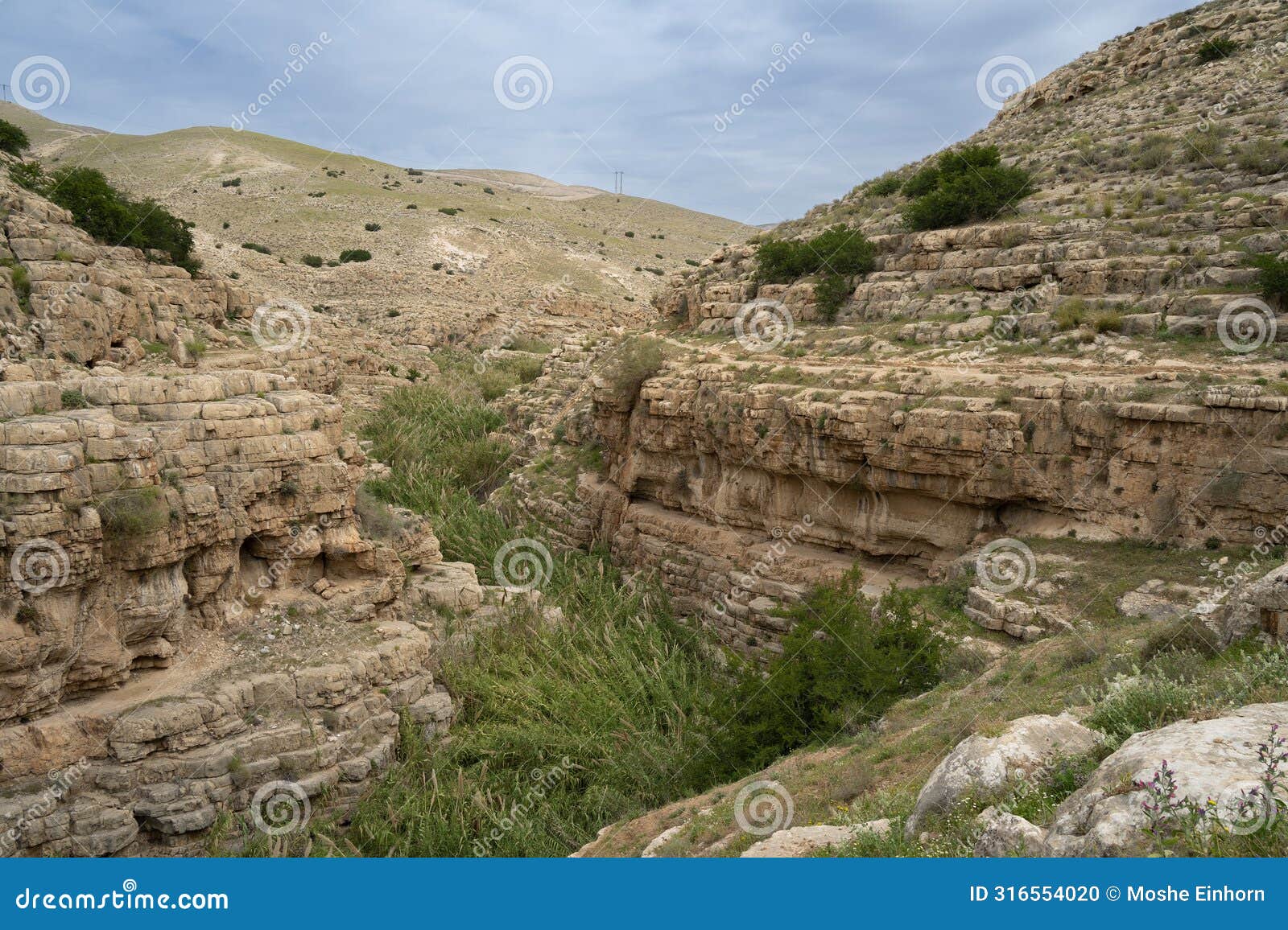 a landscape on the bank of the prat stream, israel