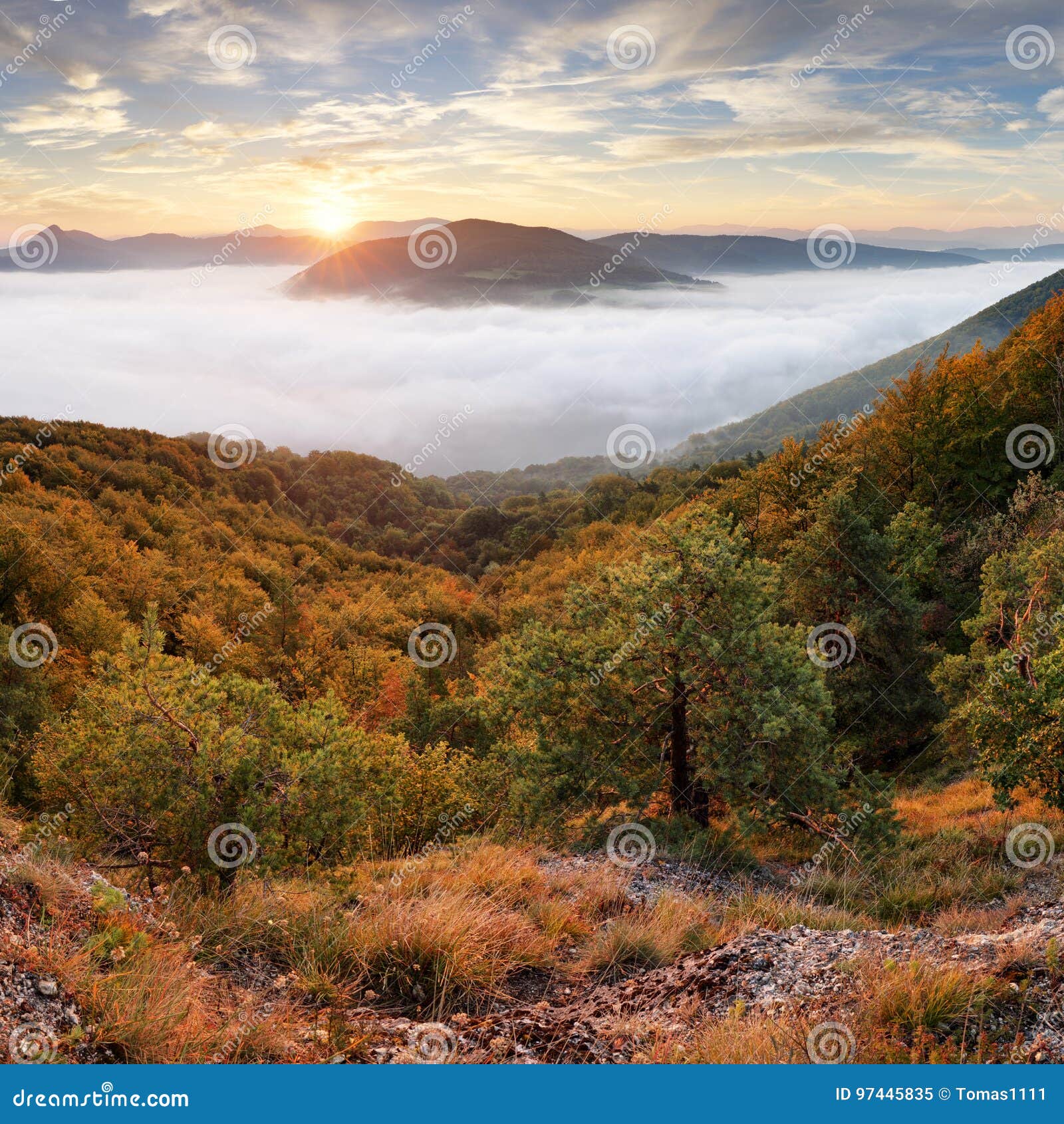 Landscape Beautiful Autumn Morning Above Deep Forest Valley Stock