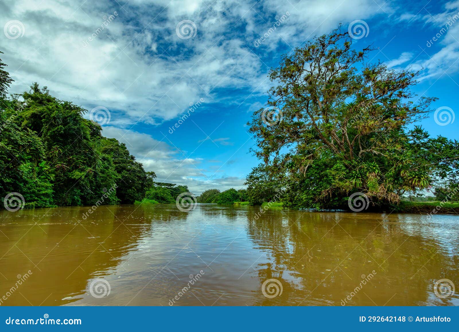 landscape of beautiful channel, refugio de vida silvestre cano negro, costa rica wilderness landscape