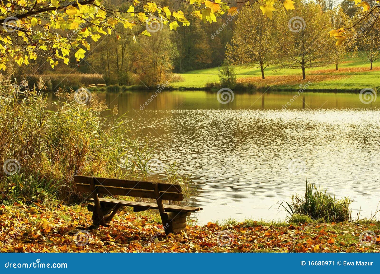 Landscape With Bench Stock Image - Image: 16680971