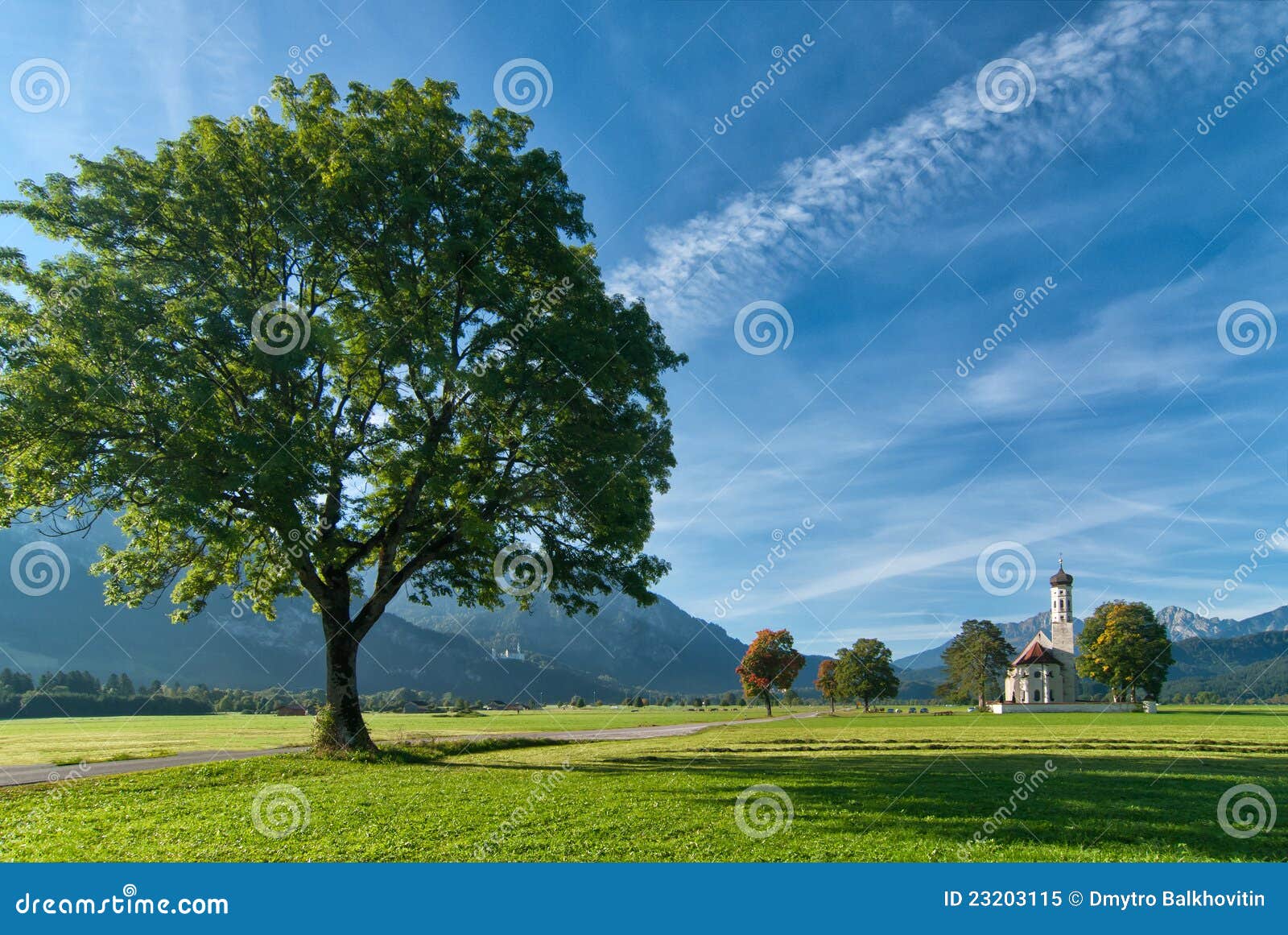 What is the title of this picture ? Landscape with big tree stock image. Image of road, dramatic - 23203115