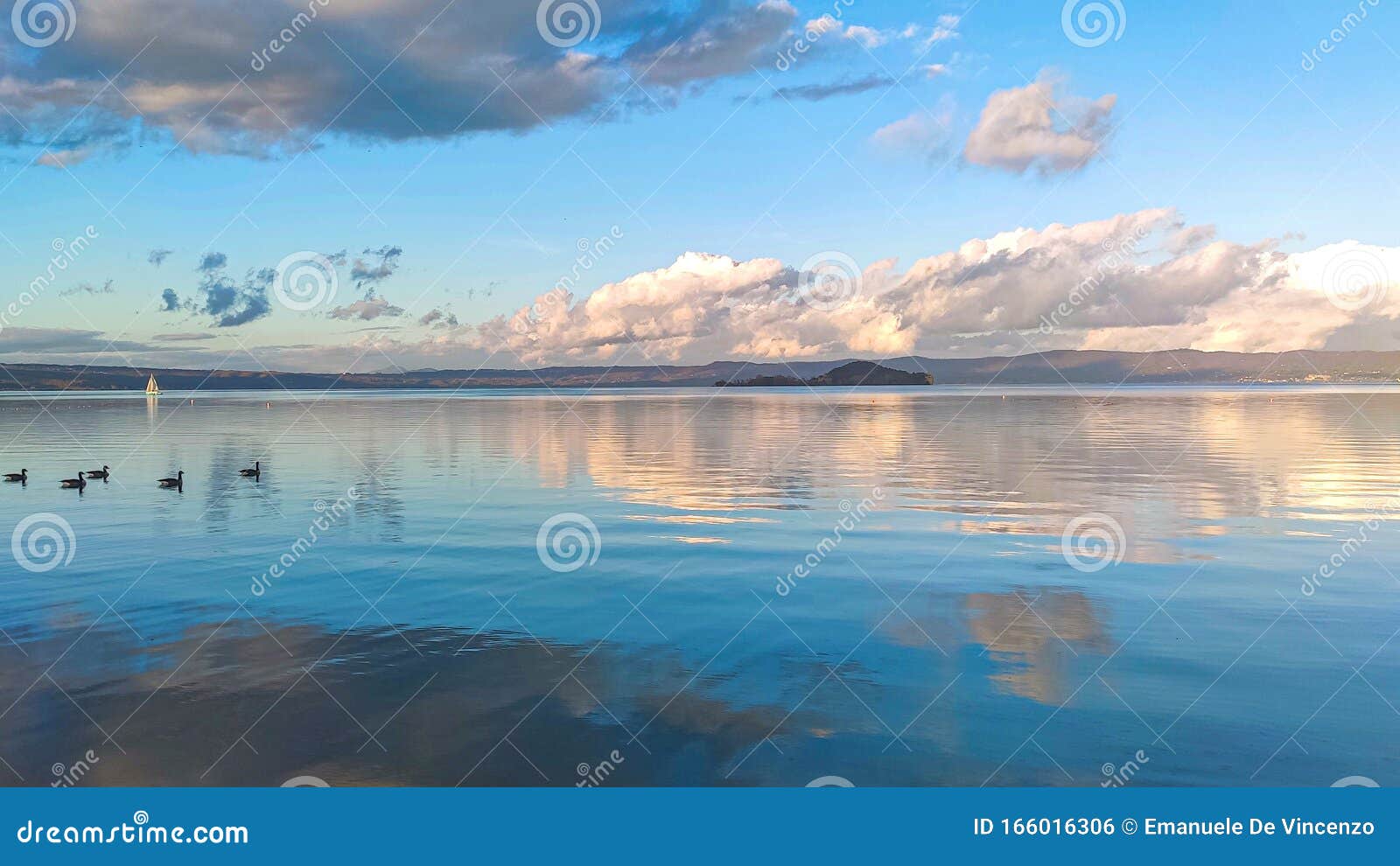 landscape of bolsena lake in italy, with ducks and boat and bisentina island