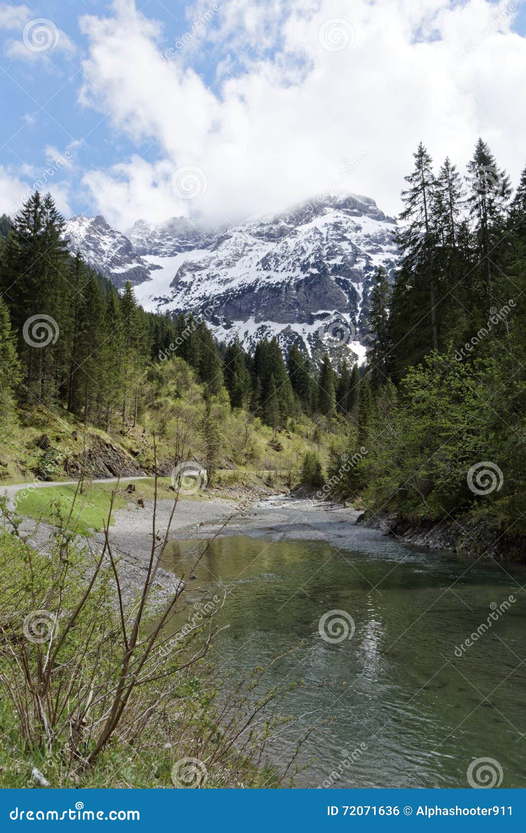 landscape bucolic in spring