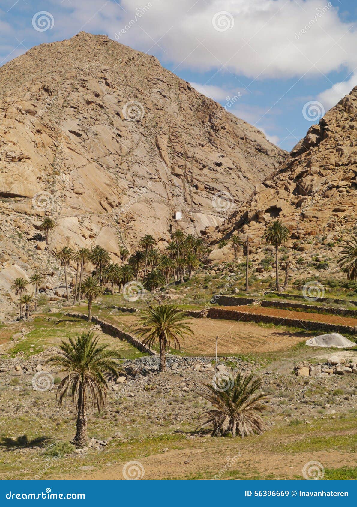 the landscape of the buen paso valley