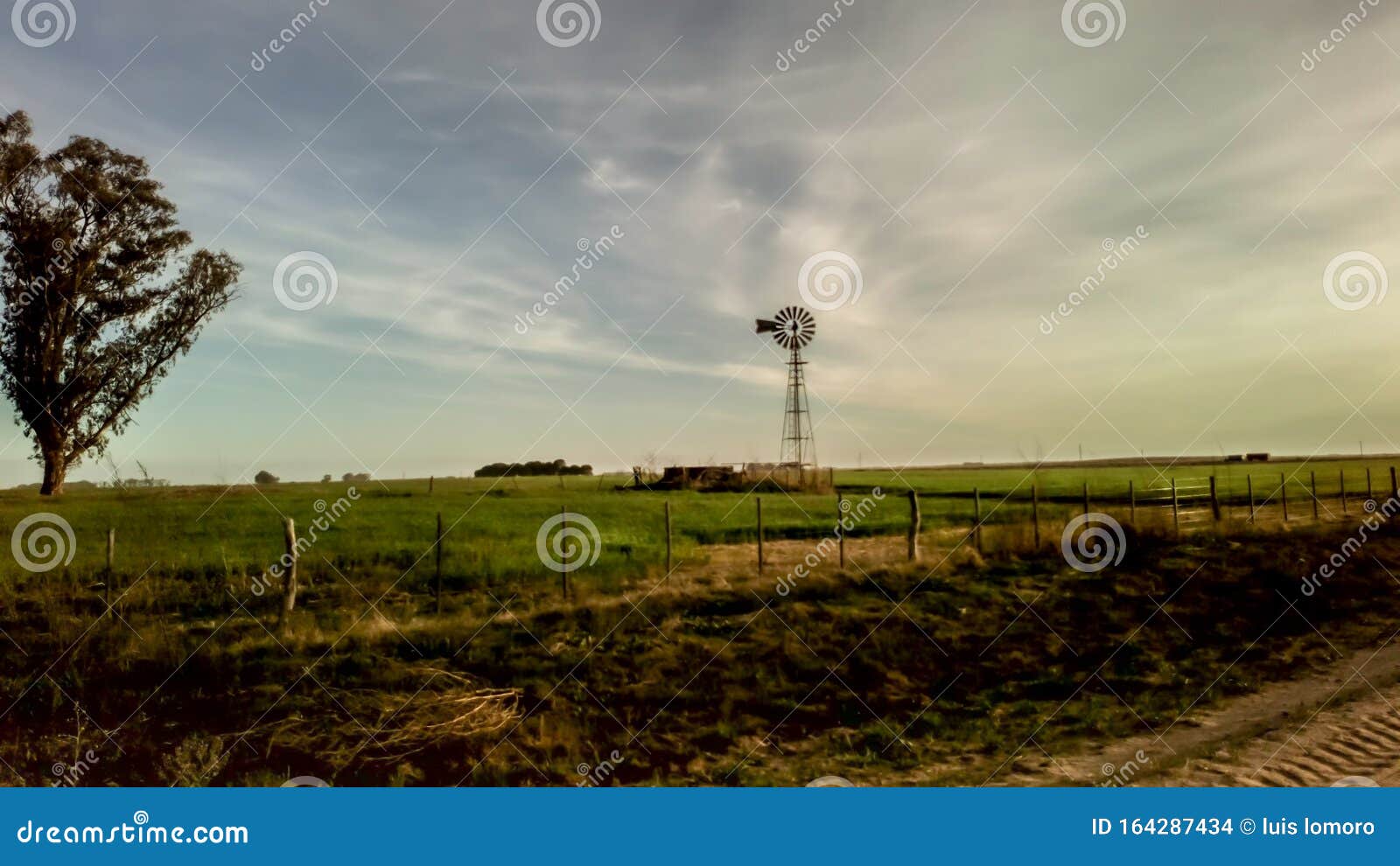 landscape campo argentina molino sky farm tree ÃÂ¡rbol