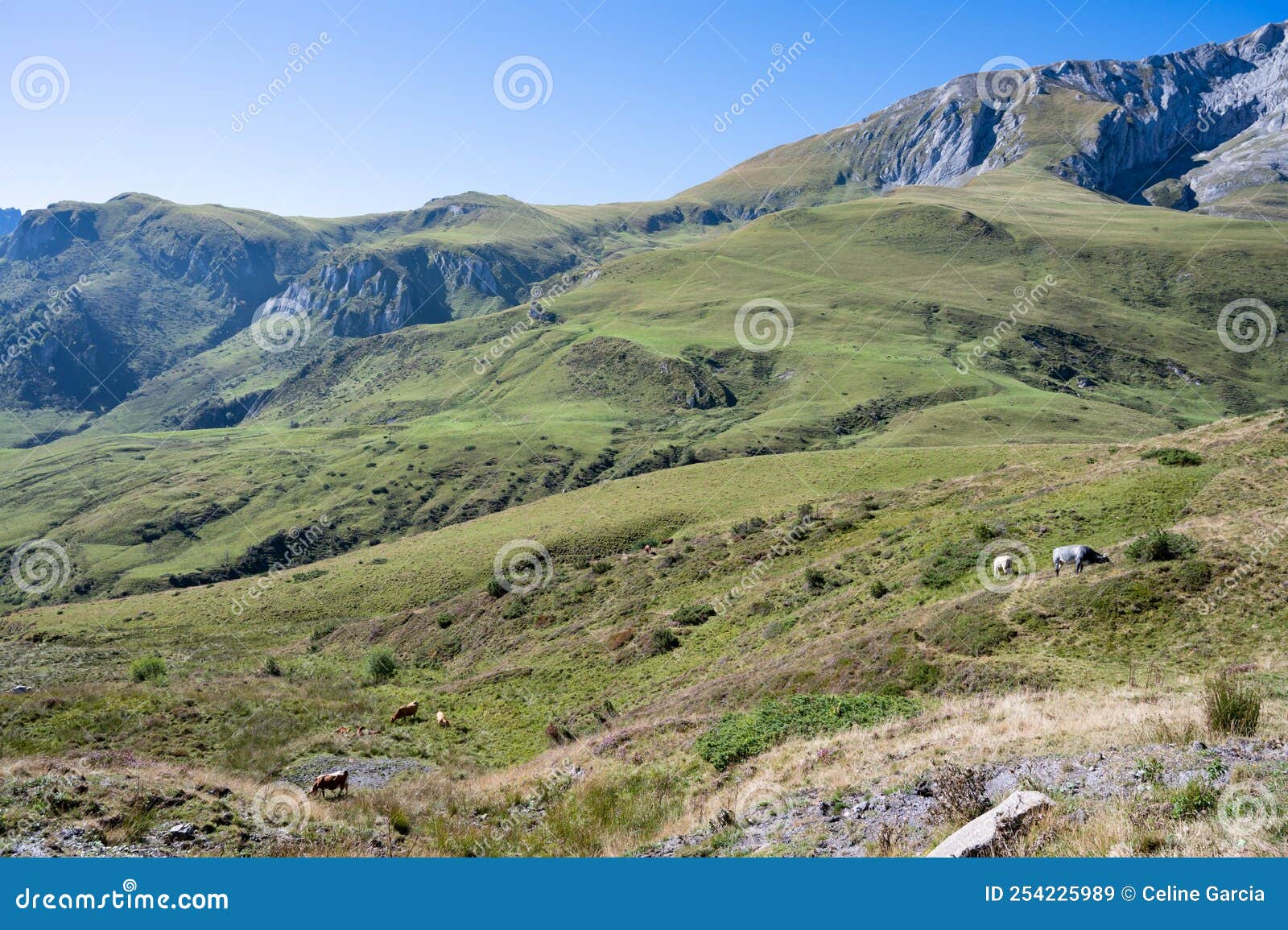 landscape of col du soulor in the pyrenees in france