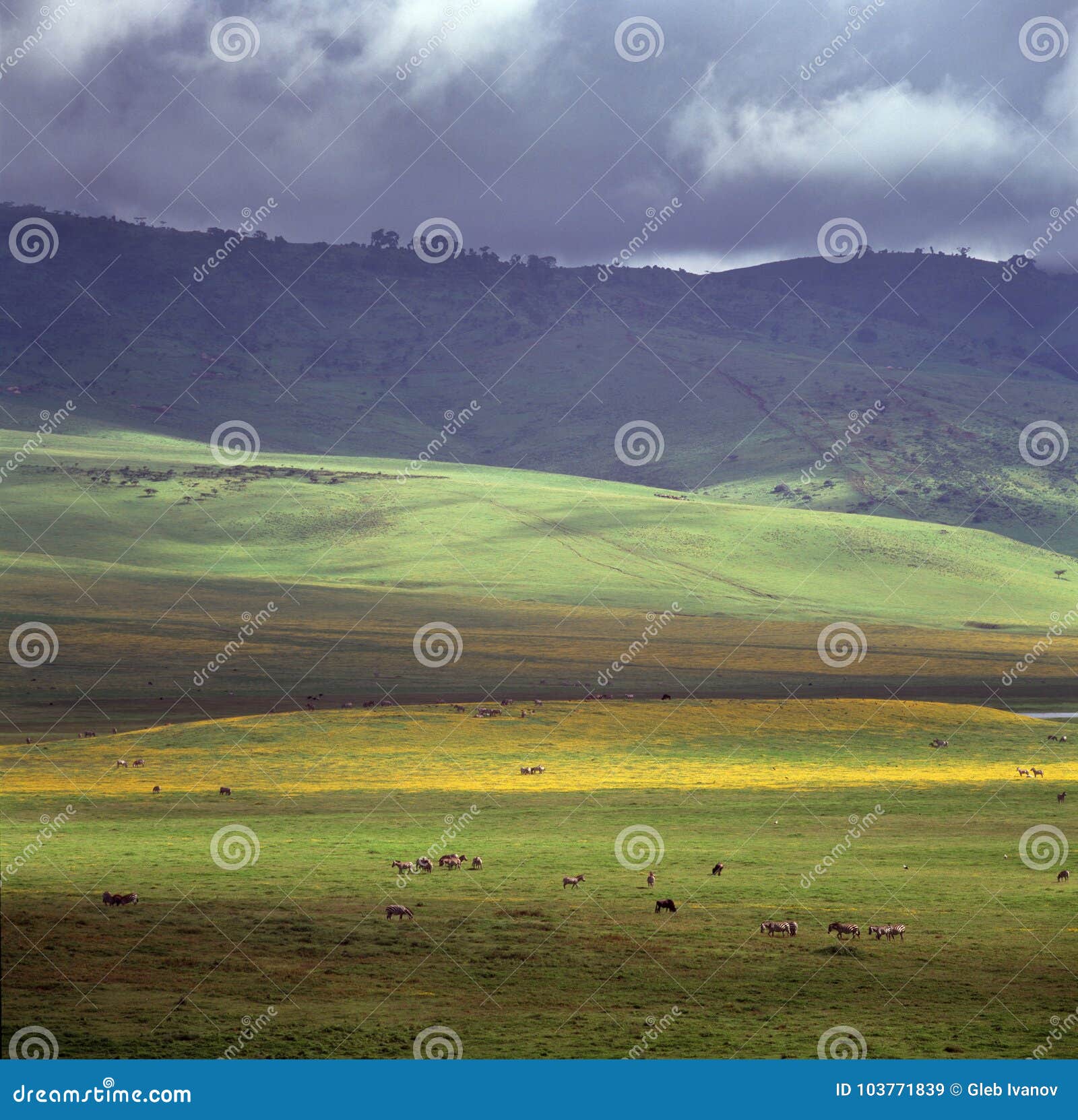 landscape of crater ngoro ngoro in tanzania