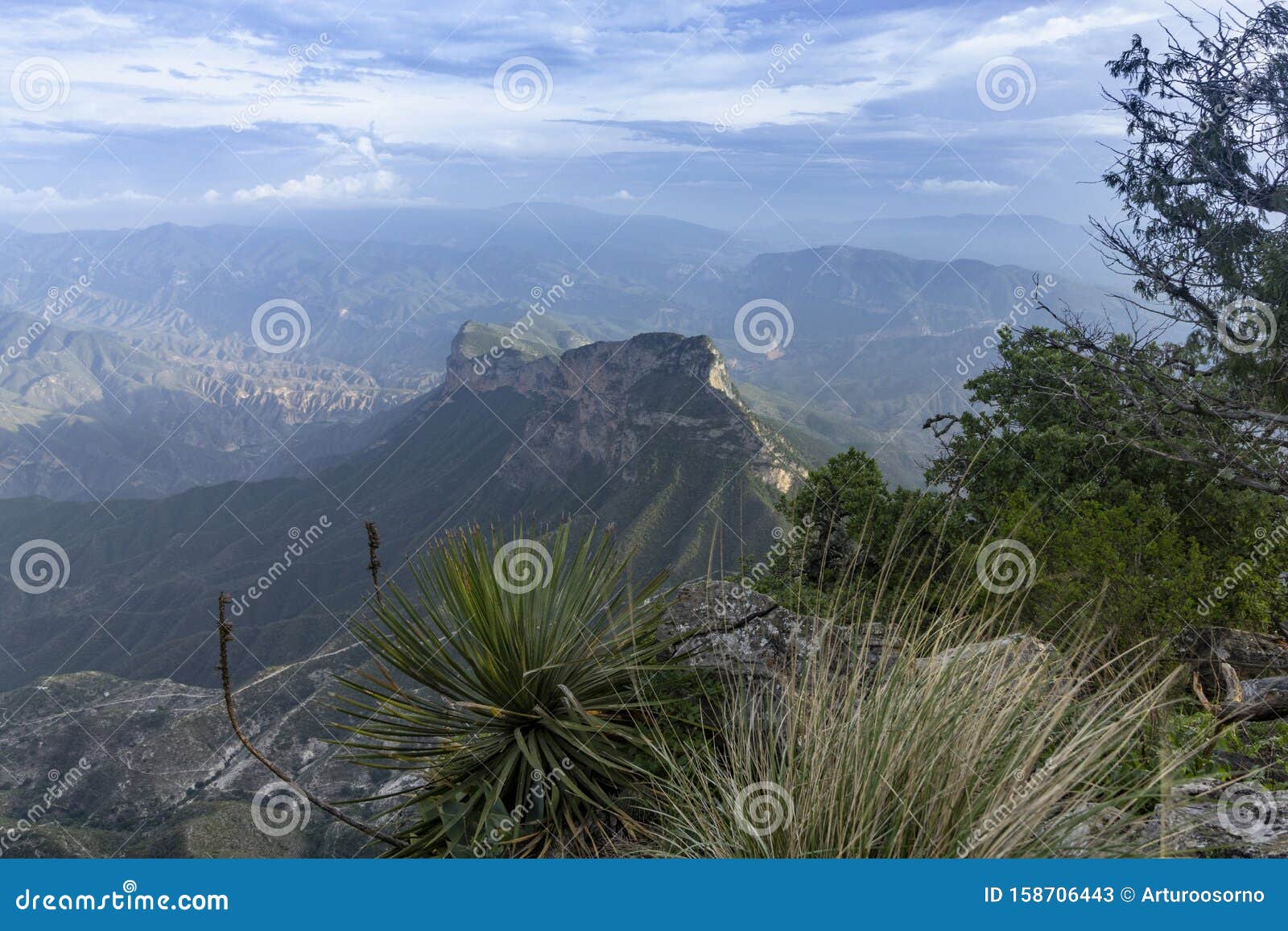 landscape cuatro palos in the estate of queretaro