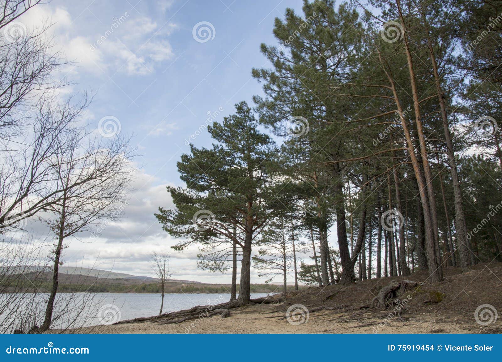 landscape cuerda del pozo