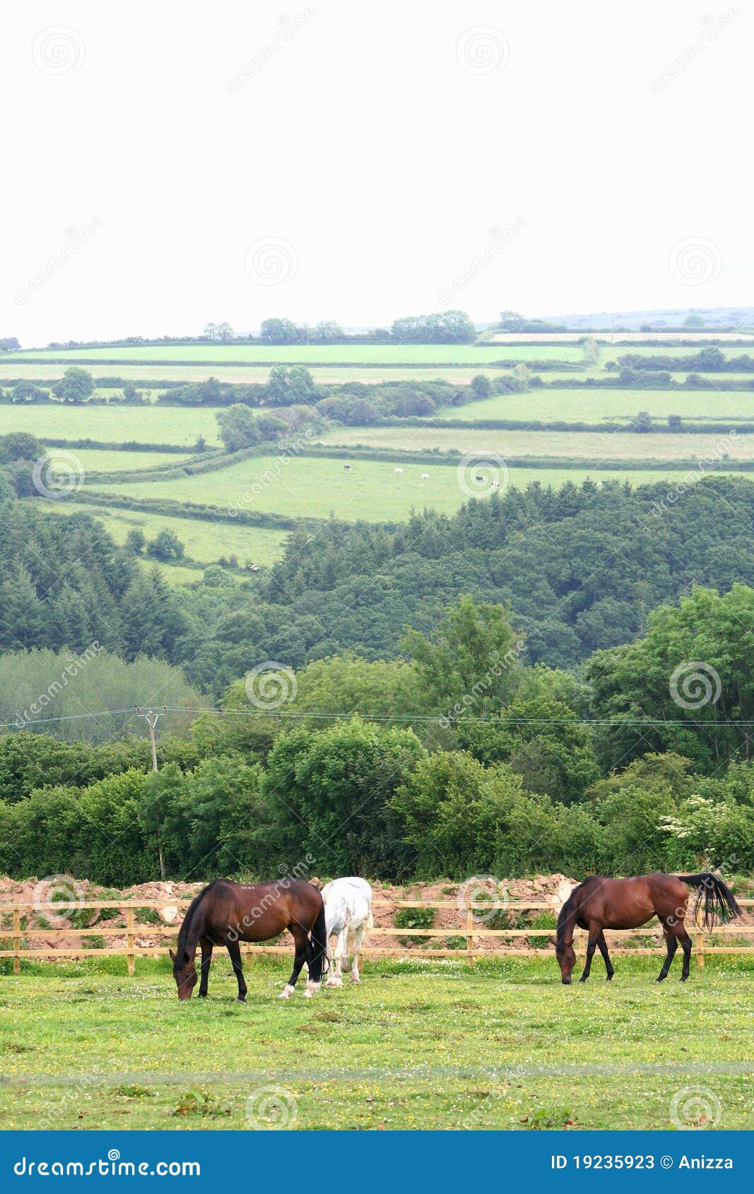 Landscape of Dartmoor National Park Stock Image Image of landscape