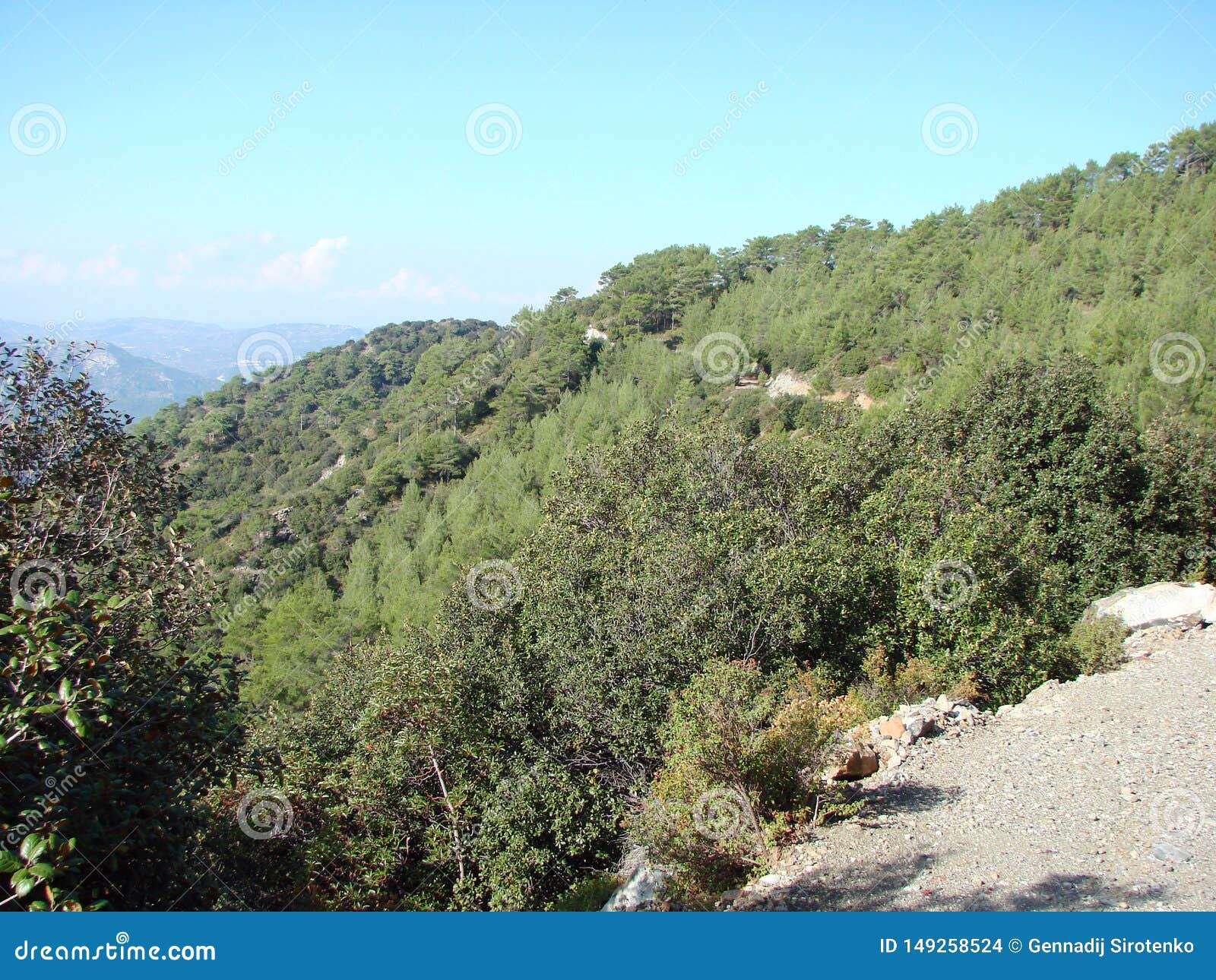 Mount Troodos at an Altitude of 900 M Above Sea Level. Cyprus. Forest ...