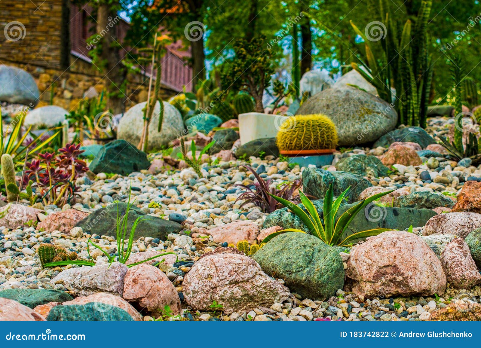 Landscape Design. Plants Grow on Rocks Stock Photo Image of plant