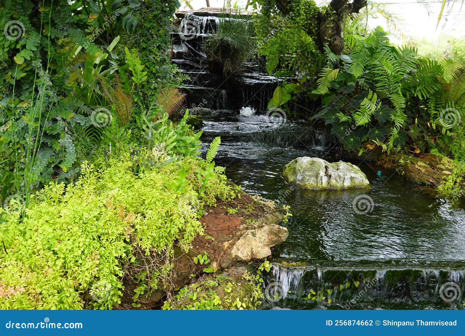 Landscape Design a Waterfall and Pond in the Garden Stock Photo Image