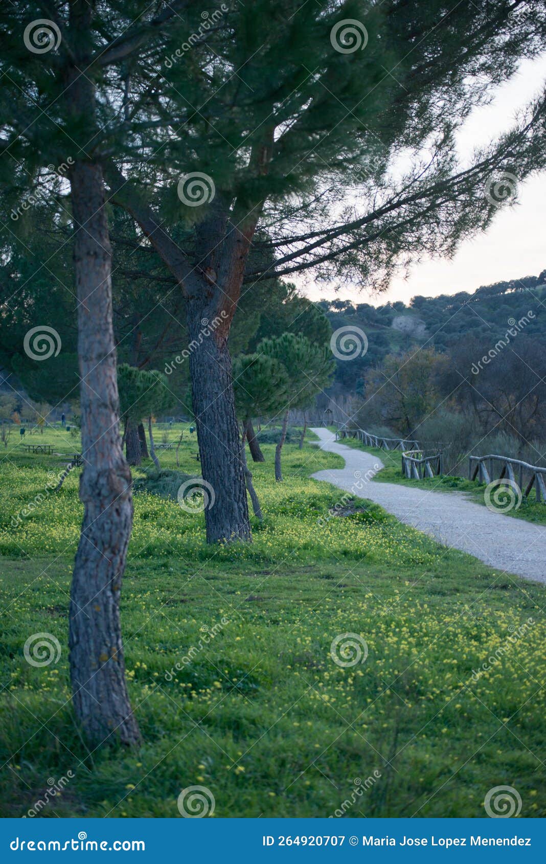 landscape at el pardo, madrid. green meadow and walking path