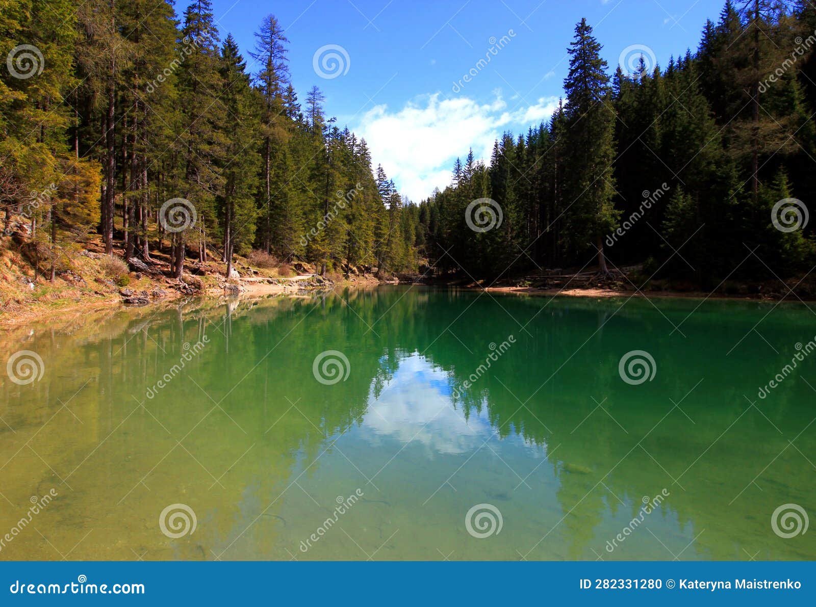 landscape with the emerald surface of lago di braies lake and pine trees on the shore in the dolomites, italy