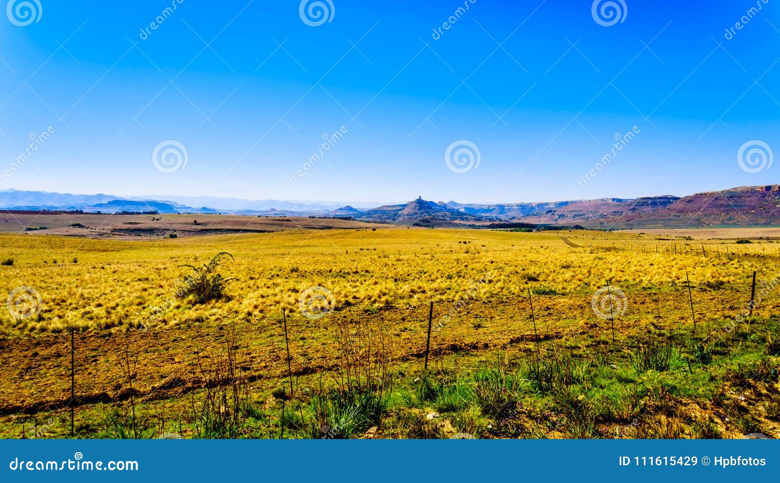 landscape with the fertile farmlands along highway r26, in the free state province of south africa