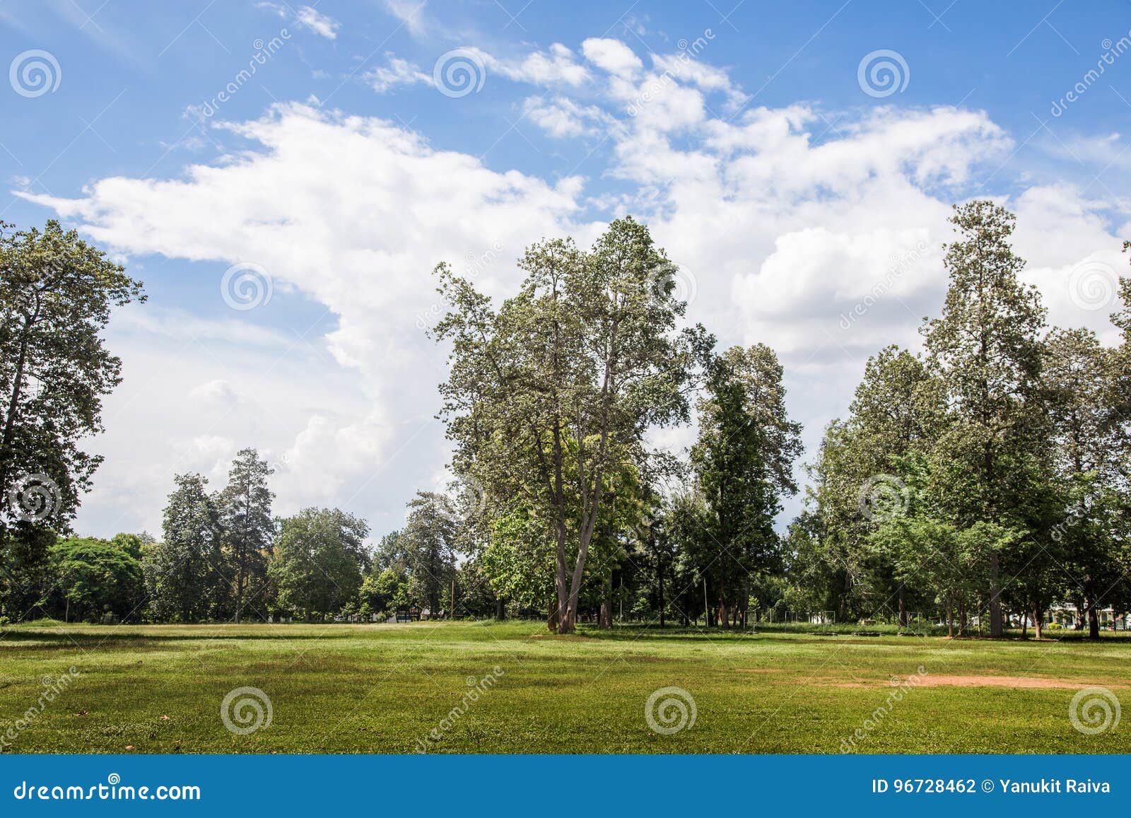 Landscape green park stock photo. Image of outdoor, clean - 96728462