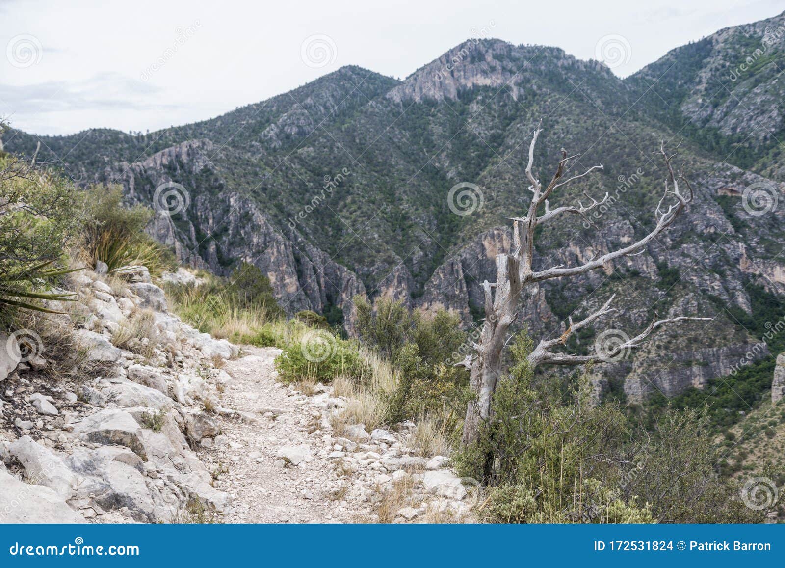 Guadalupe Mountains National Park Travel Guide - Expert 