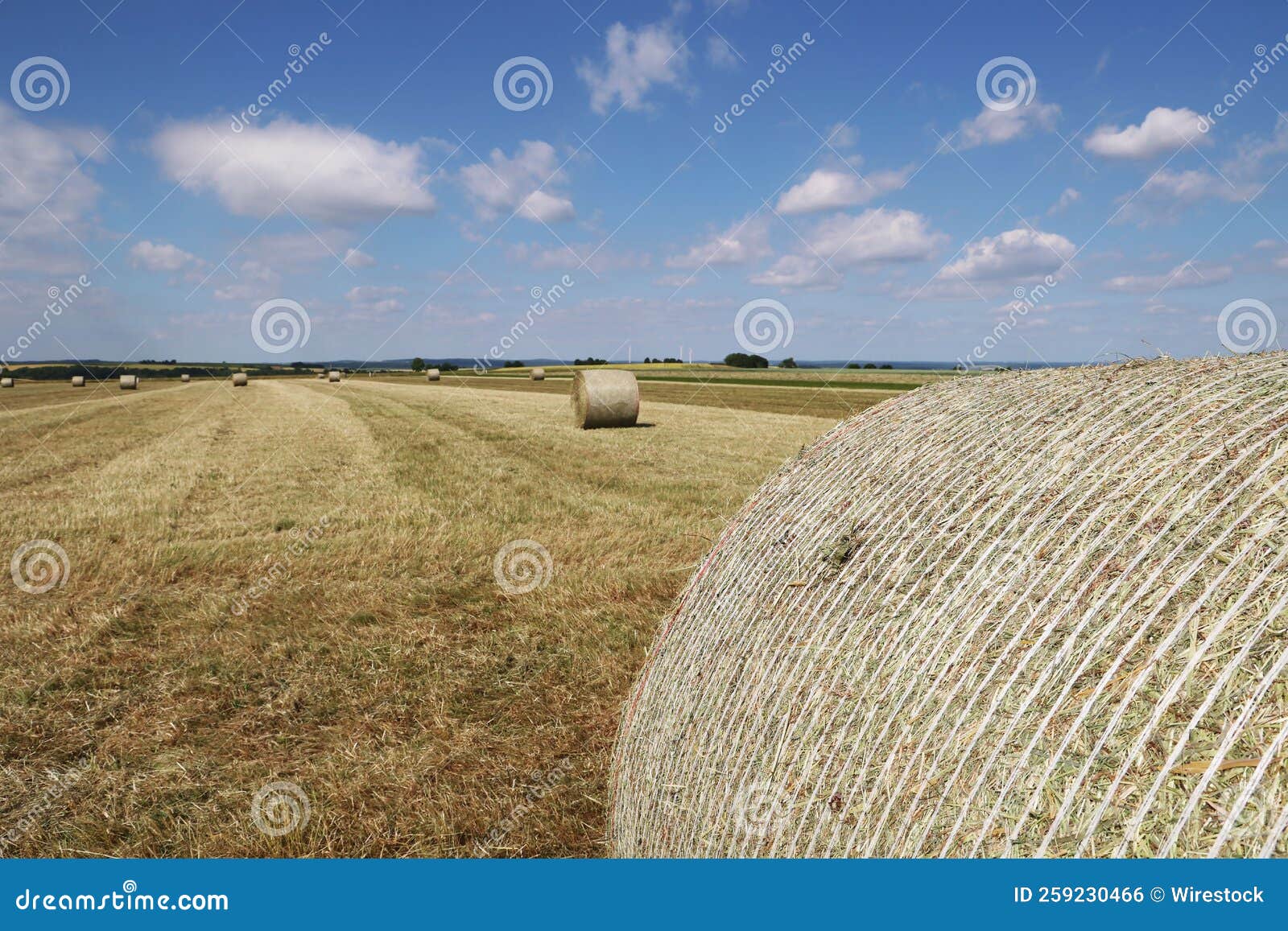 Landscape with Harvested Fields and Rolls of Hay Stock Photo Image of