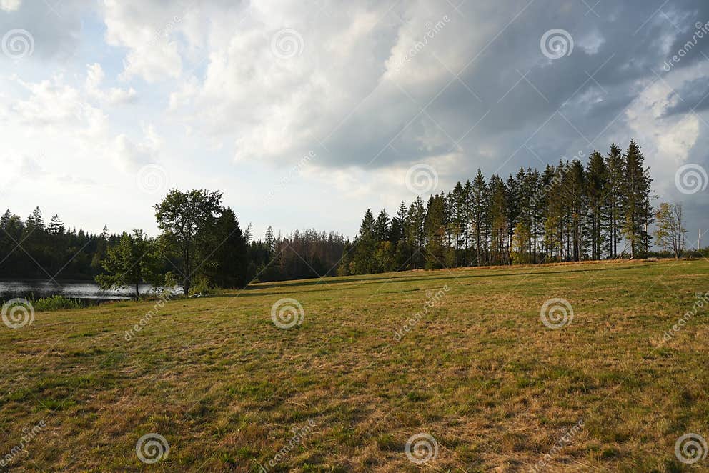 Landscape at the Hasenbacher Teich. Nature with Fields and Meadows