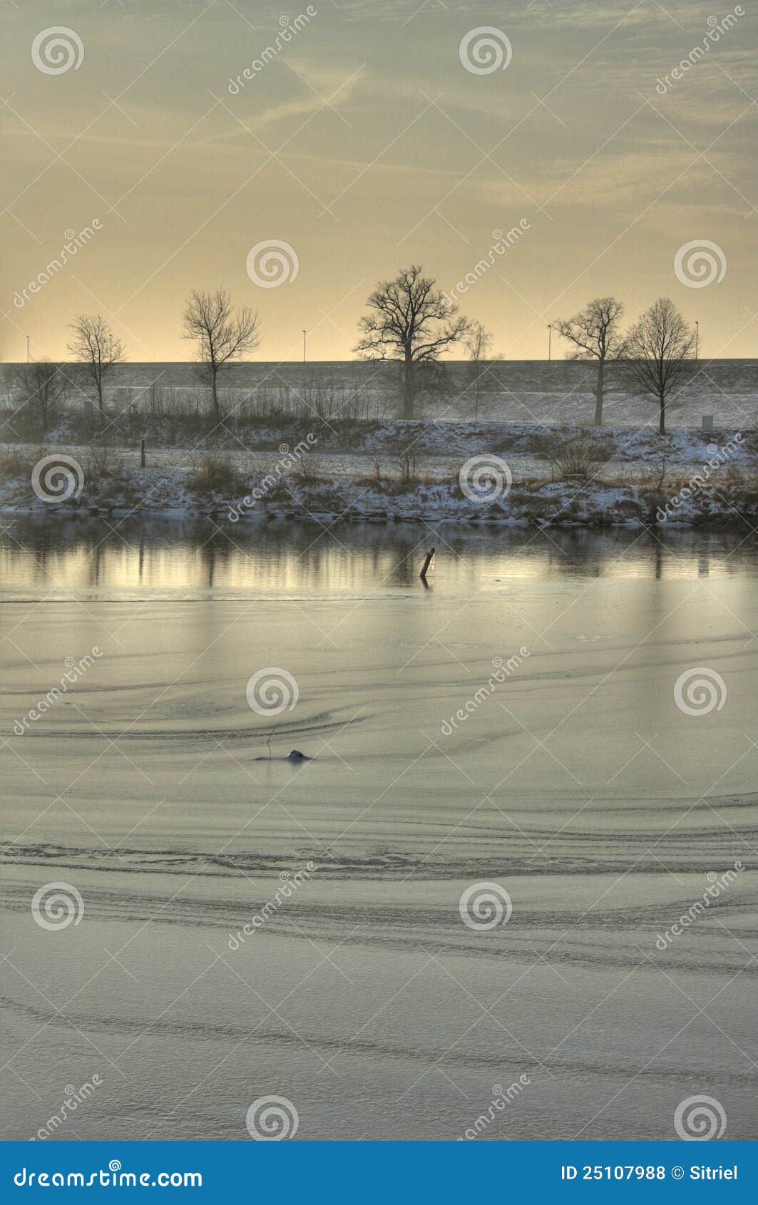 Landscape HDR Photo in Woods Stock Photo Image of sunlight, shore