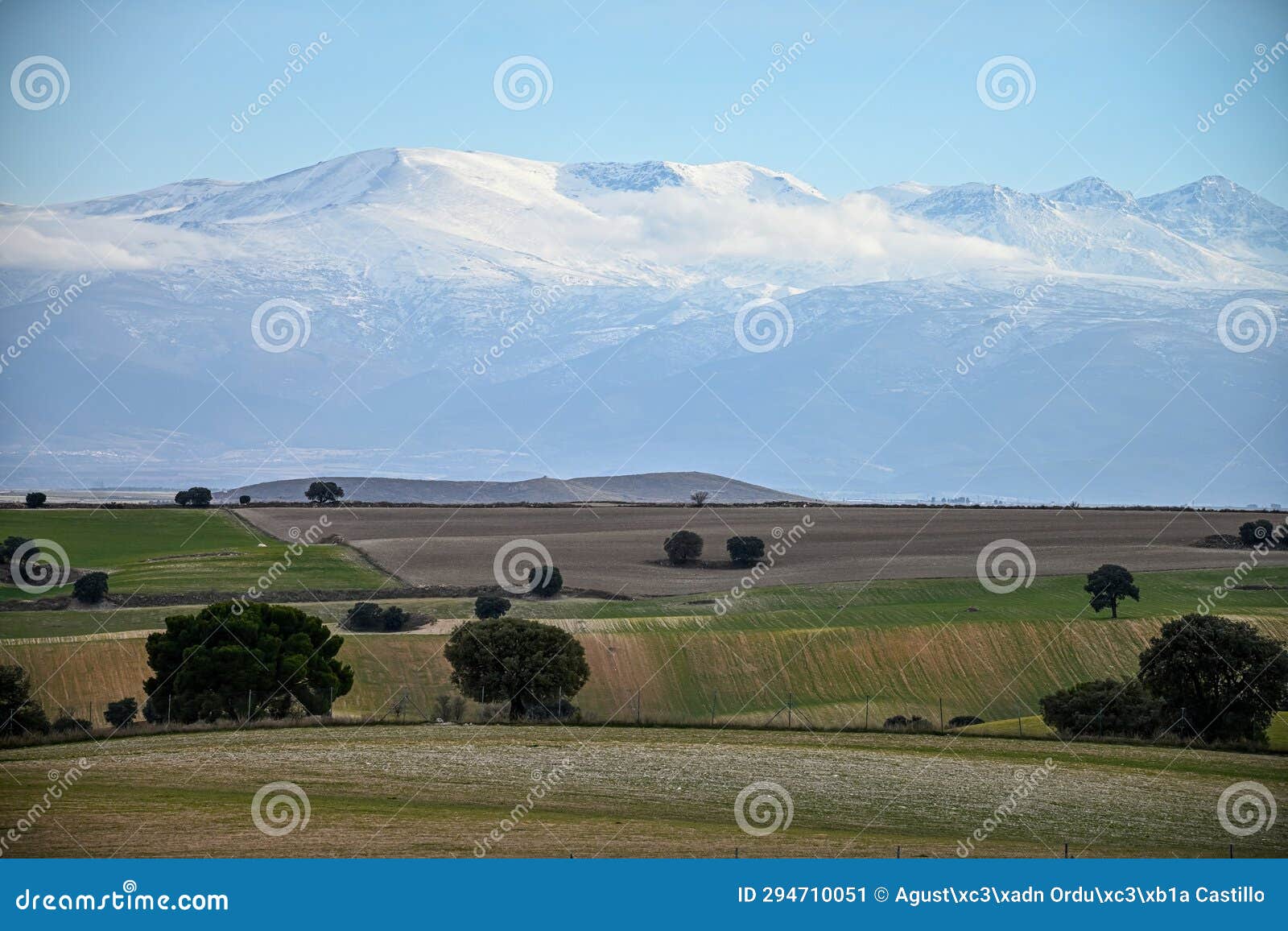 landscape of the hehesa cerealistica of the eastern mountains of granada - spain.