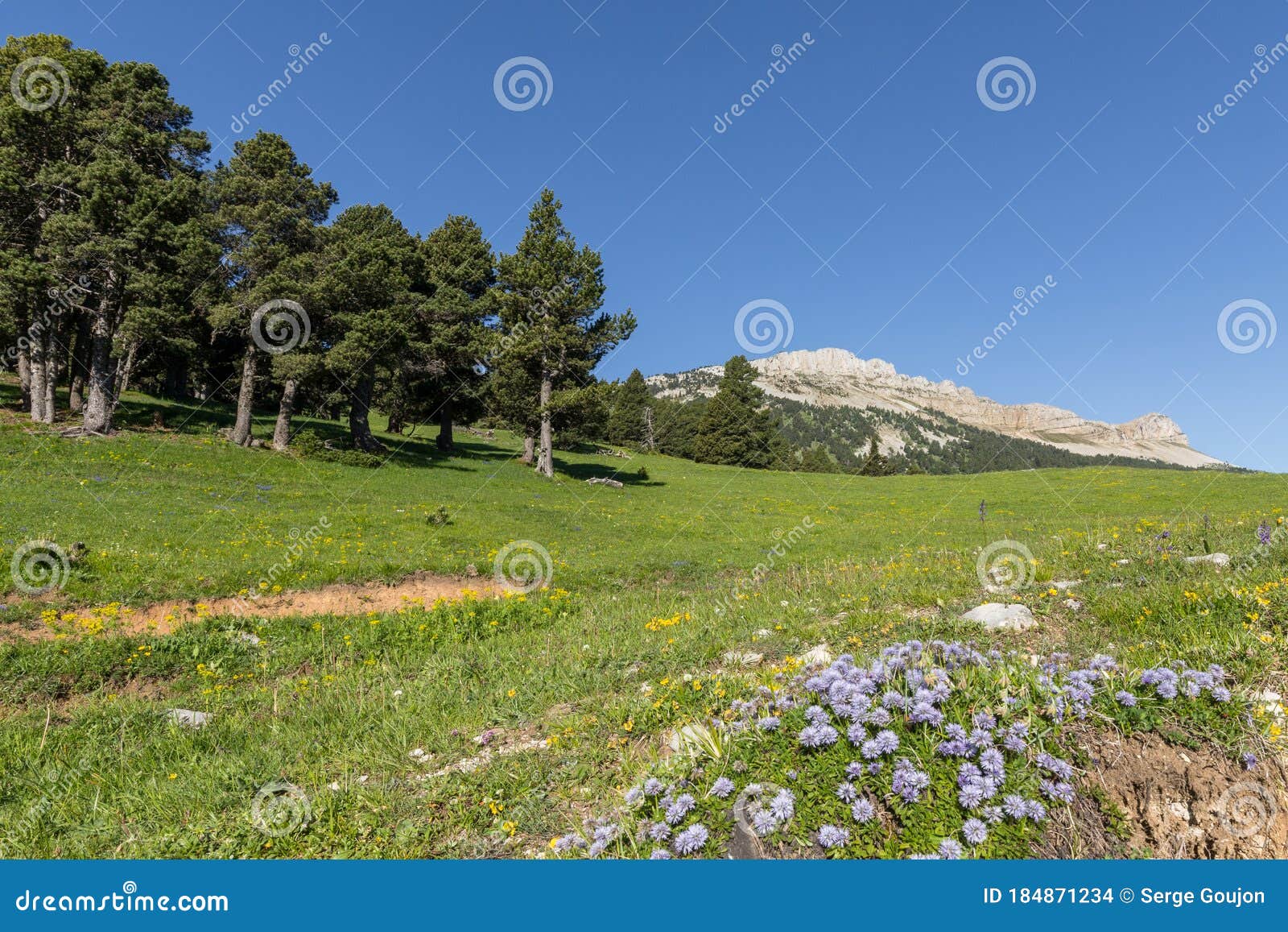 landscape of the high plateaus of the south vercors, combeau valley, france