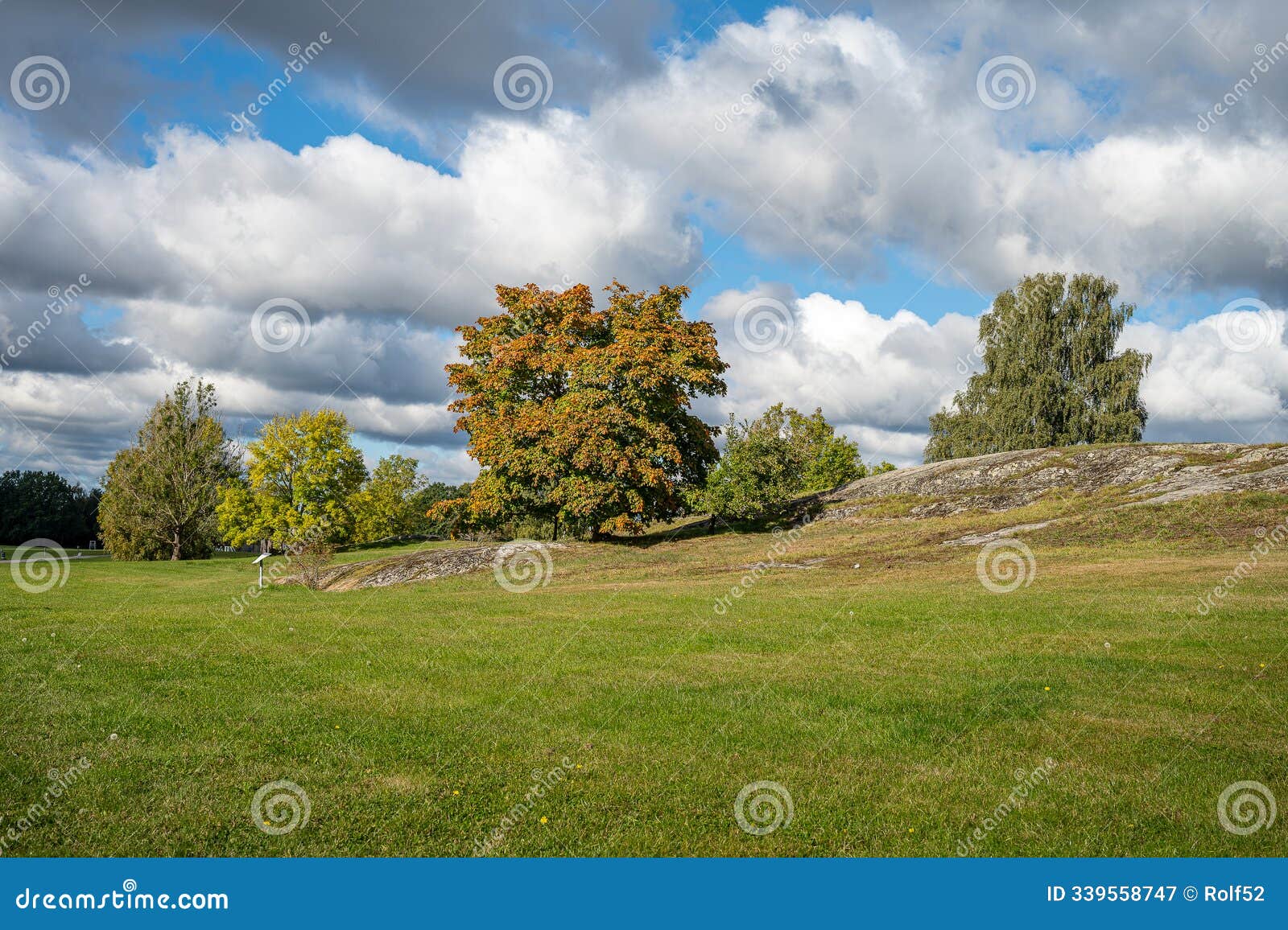 landscape at himmelstalund during autumn in norrkoping, sweden.