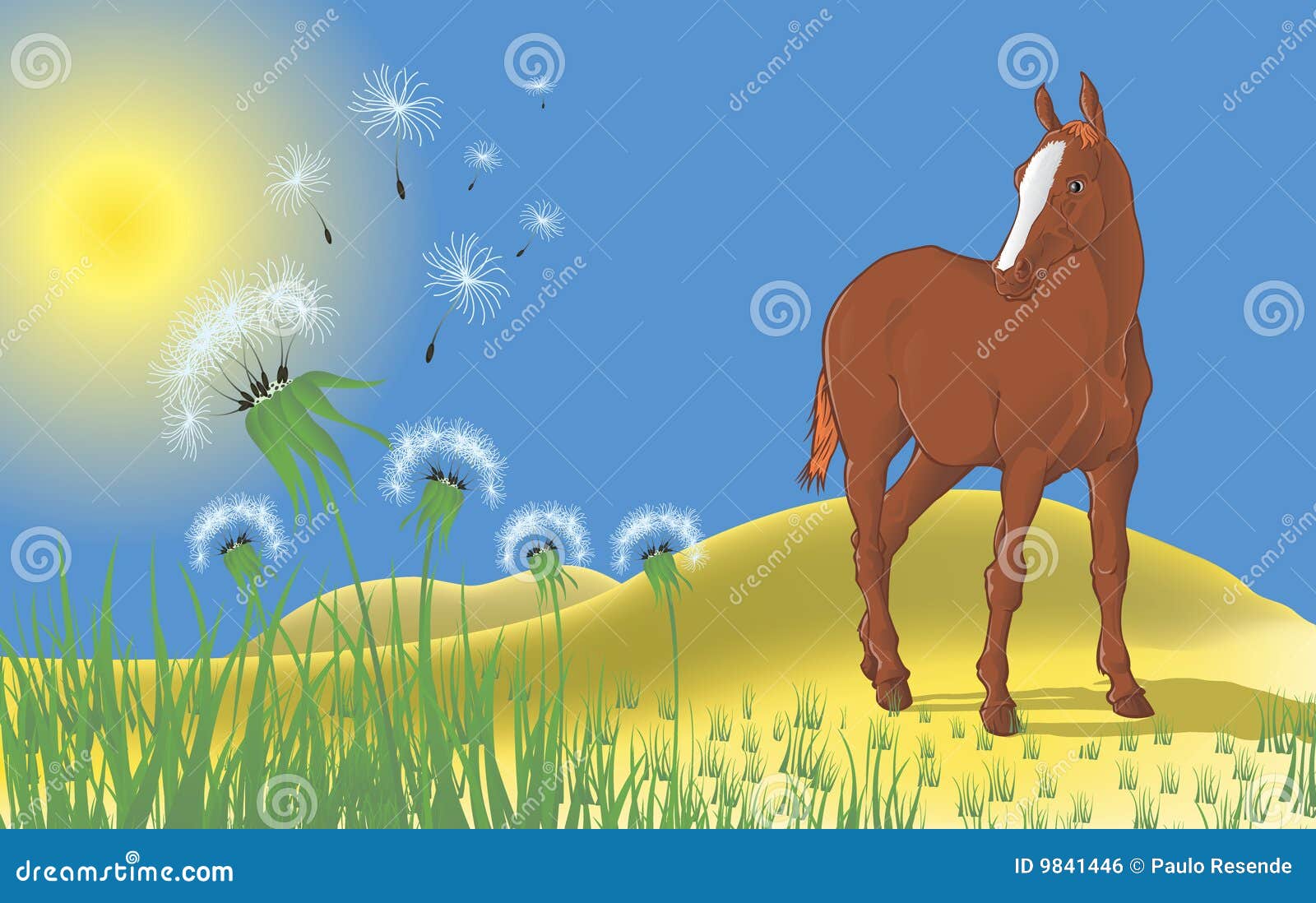Landscape with a Horse and Dandelions Stock Vector Illustration of