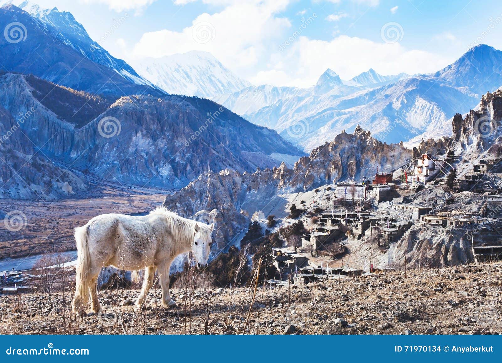 landscape with horse from nepal, tibet