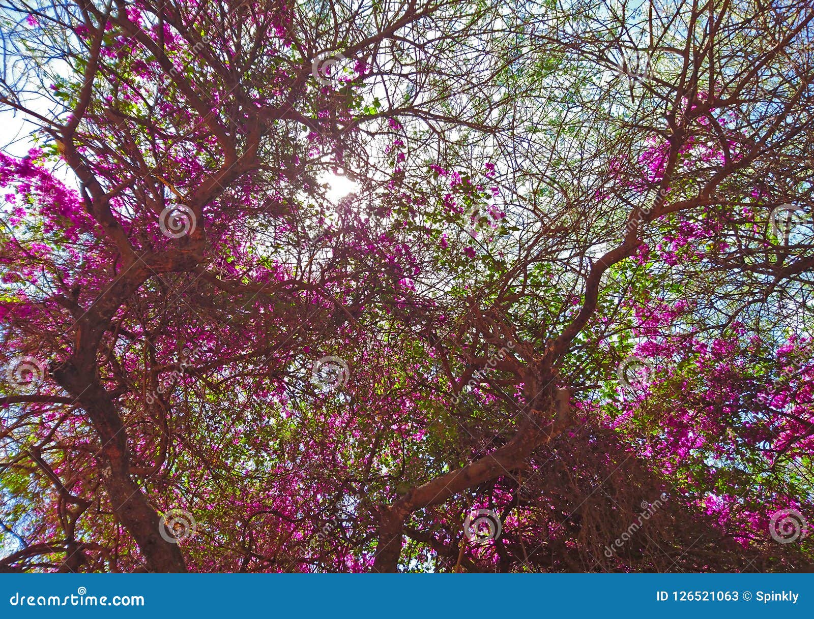 landscape image for background use