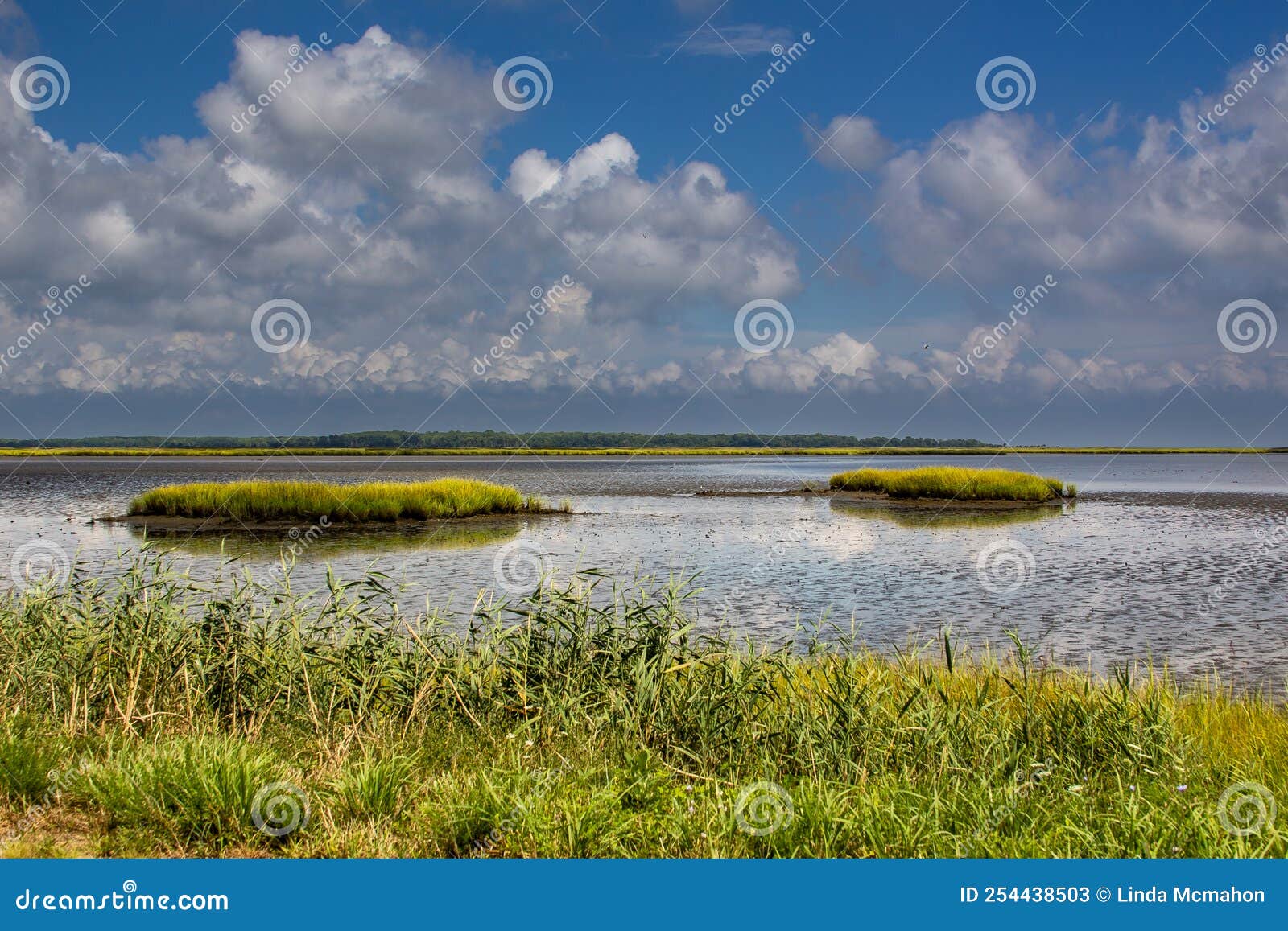 landscape image of the wetlands at bombay hook wildlife refuge nwr.