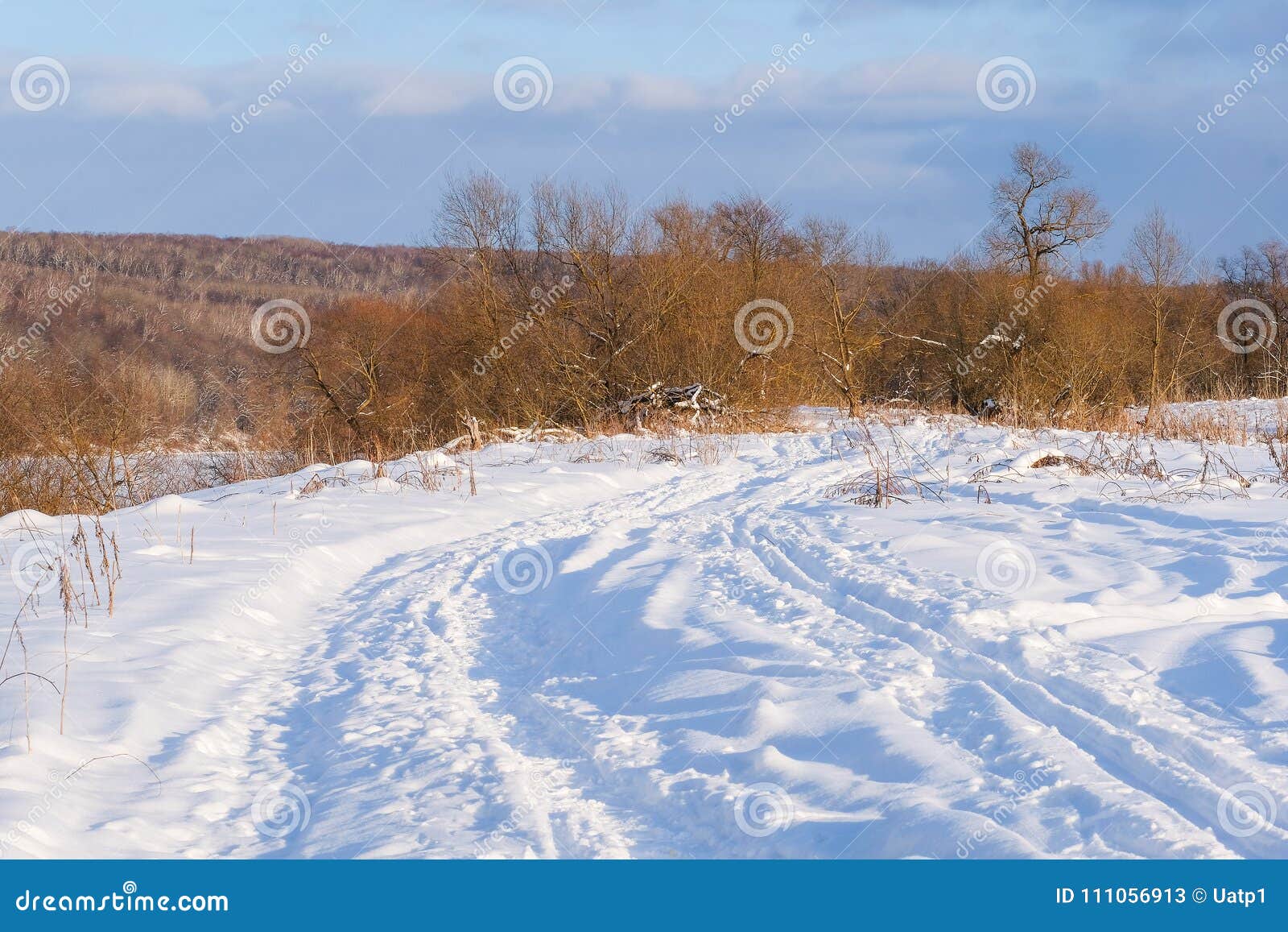 image of winter wood