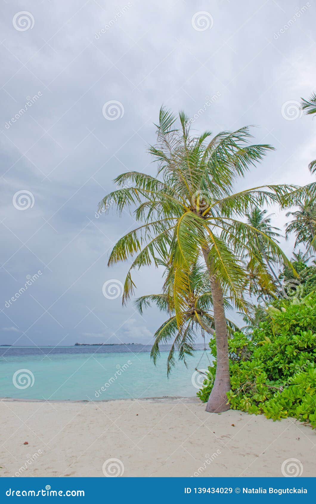 the landscape the island of biyadhoo maldives the beach with white sand