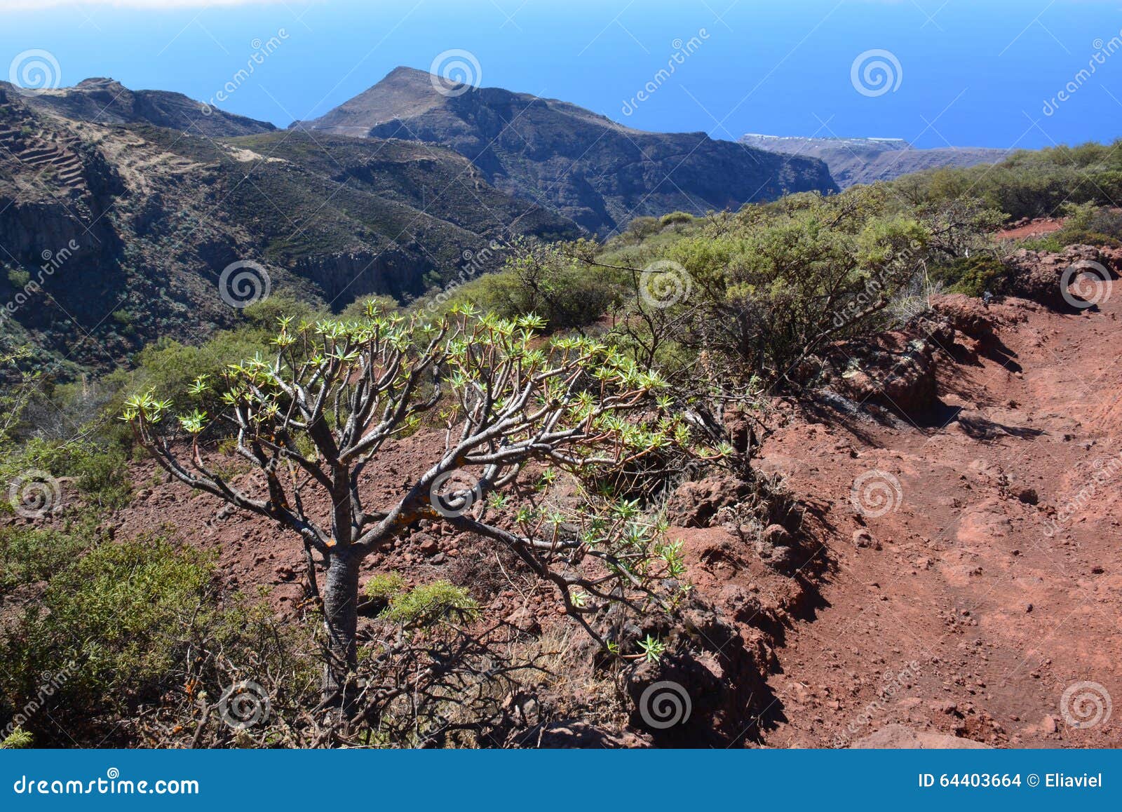 a landscape of la gomera island , the canaries