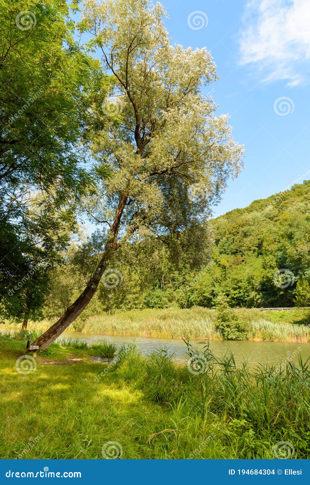 landscape of lake of brinzio in valey rasa at summertime, province of varese, italy