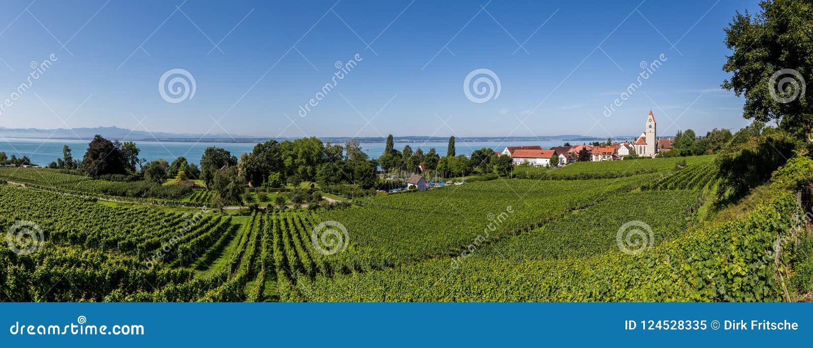 landscape of the lake constance or bodensee in germany