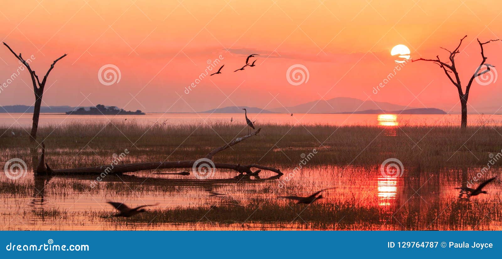 Landscape of Lake Kariba with a Bright Orange Sunset Sky with Egyptian ...