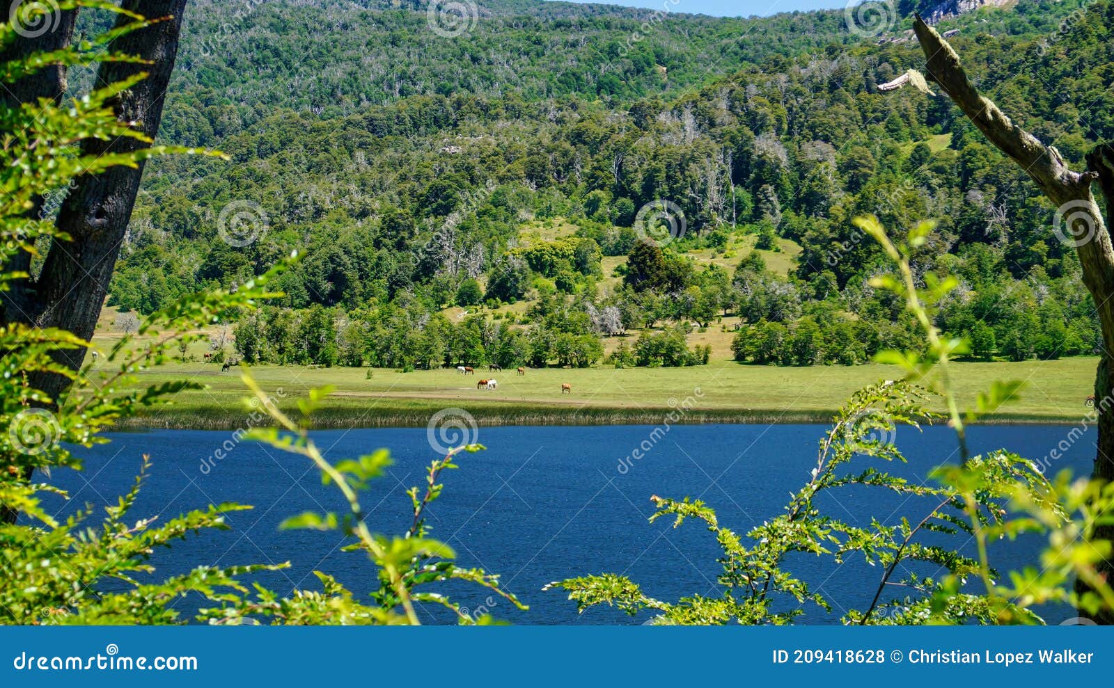 landscape of lake rosales