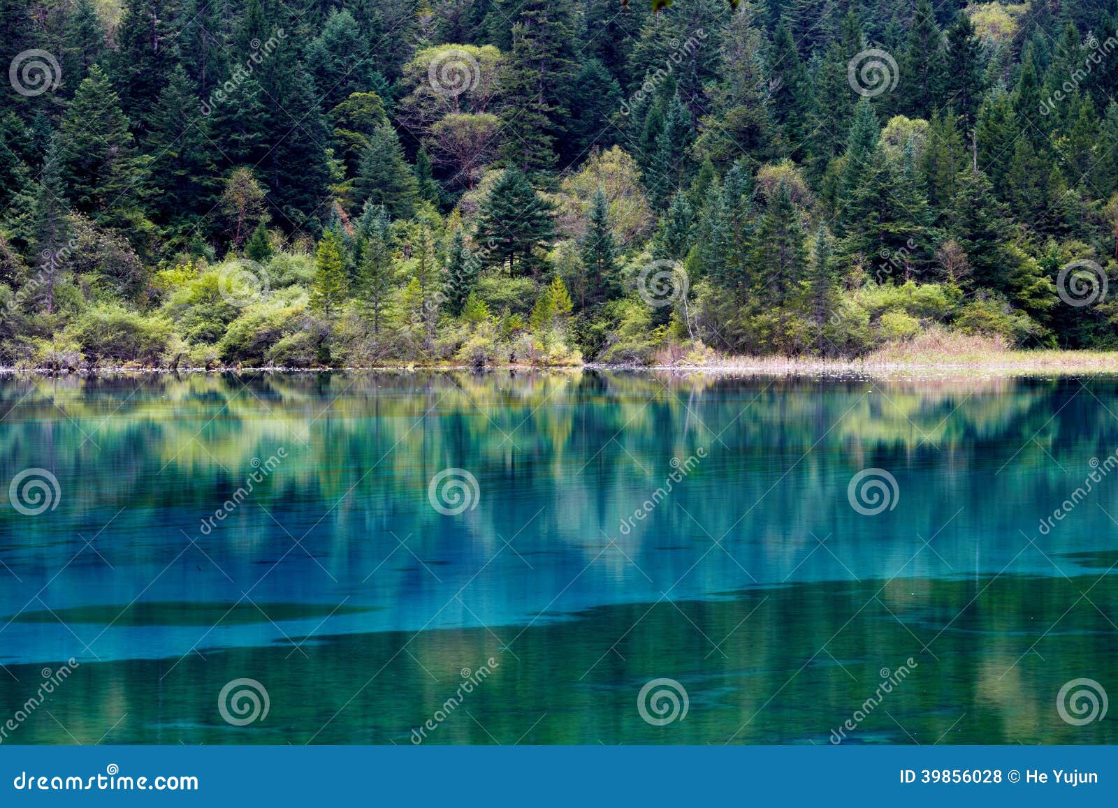 Landscape Of Lake And Trees Stock Photo Image Of Scenery Jiuzhaigou