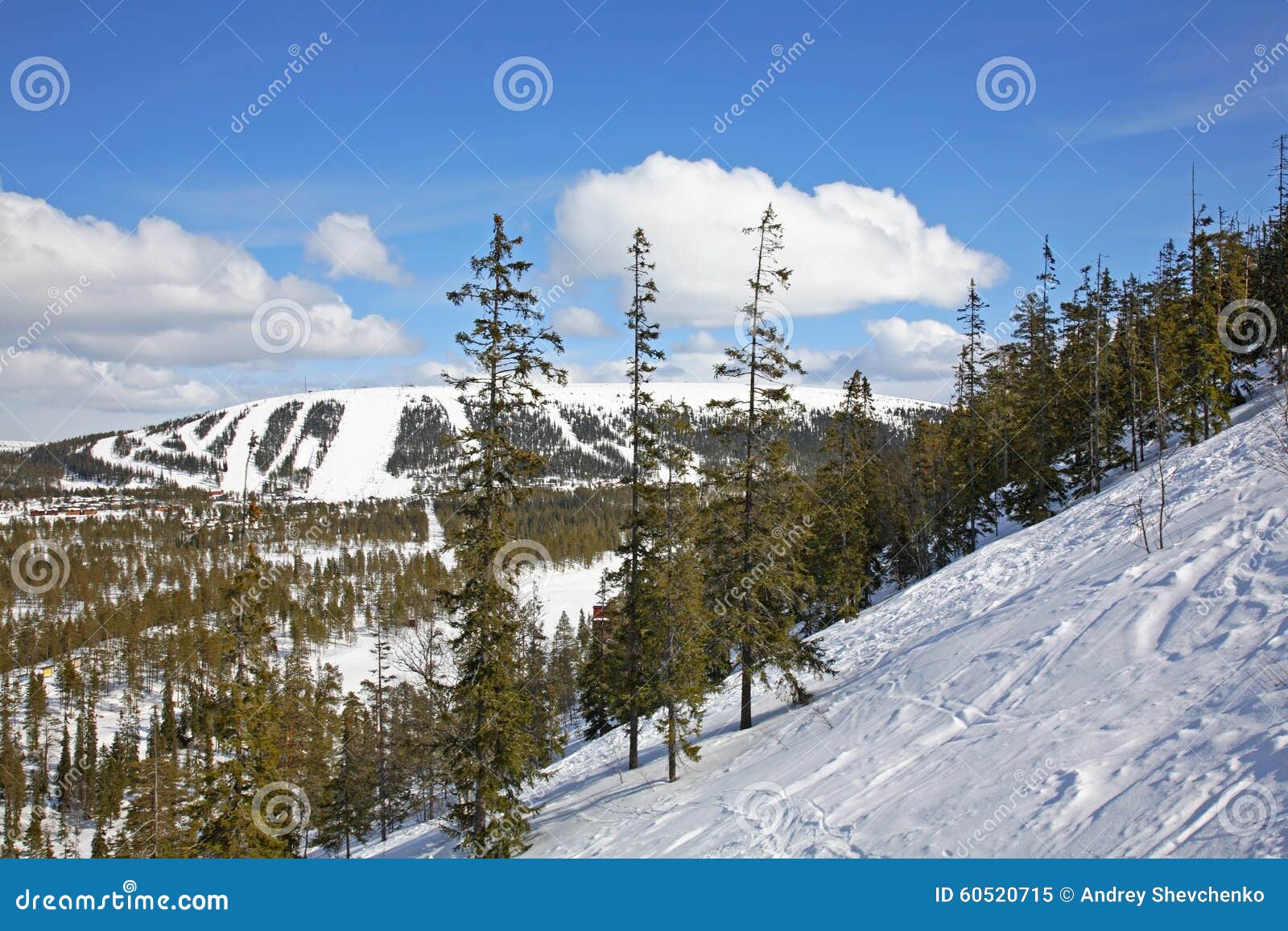 landscape in lindvallen. salen. dalarna county. sweden