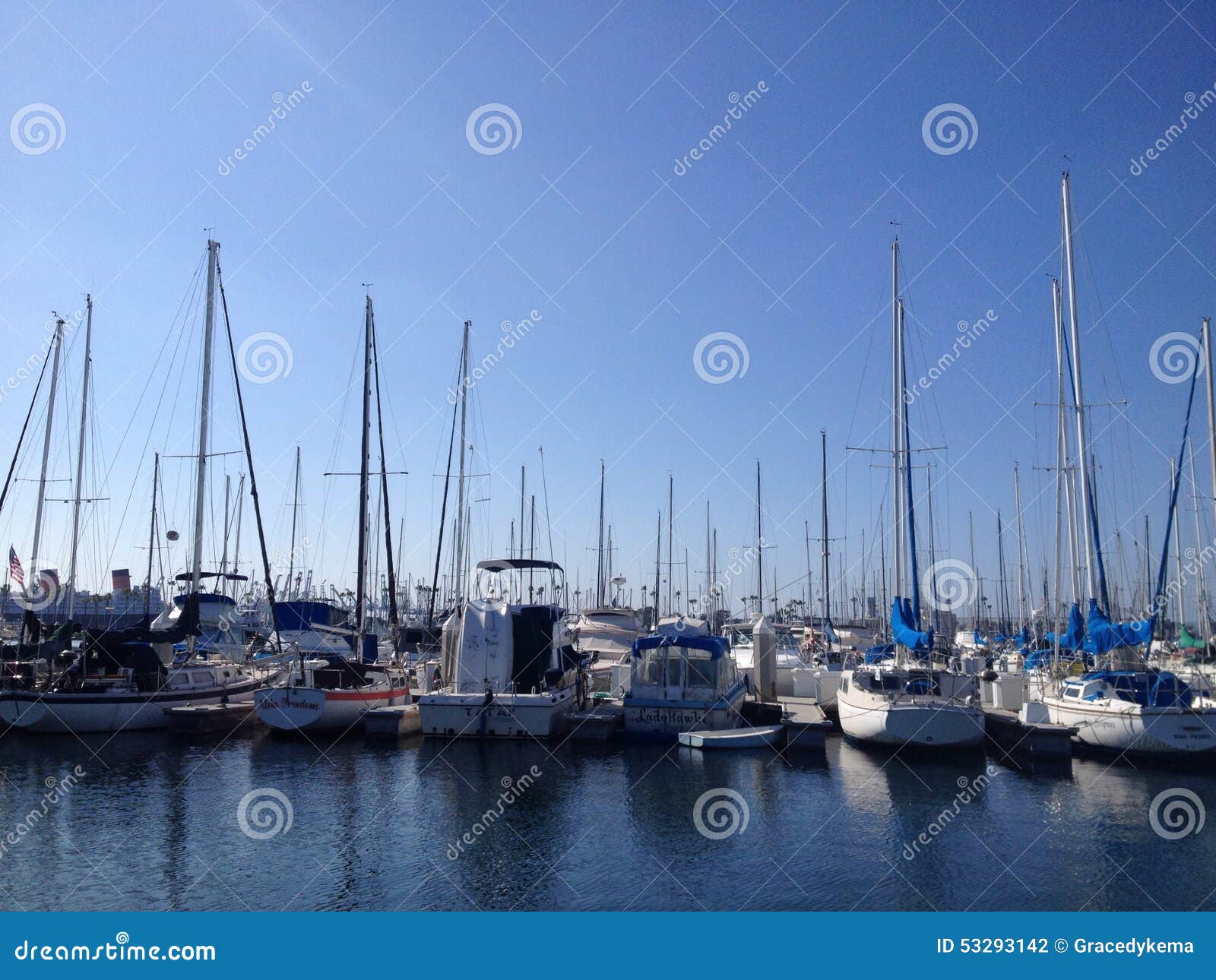 Landscape of Long Beach Marina Editorial Photography - Image of dock ...