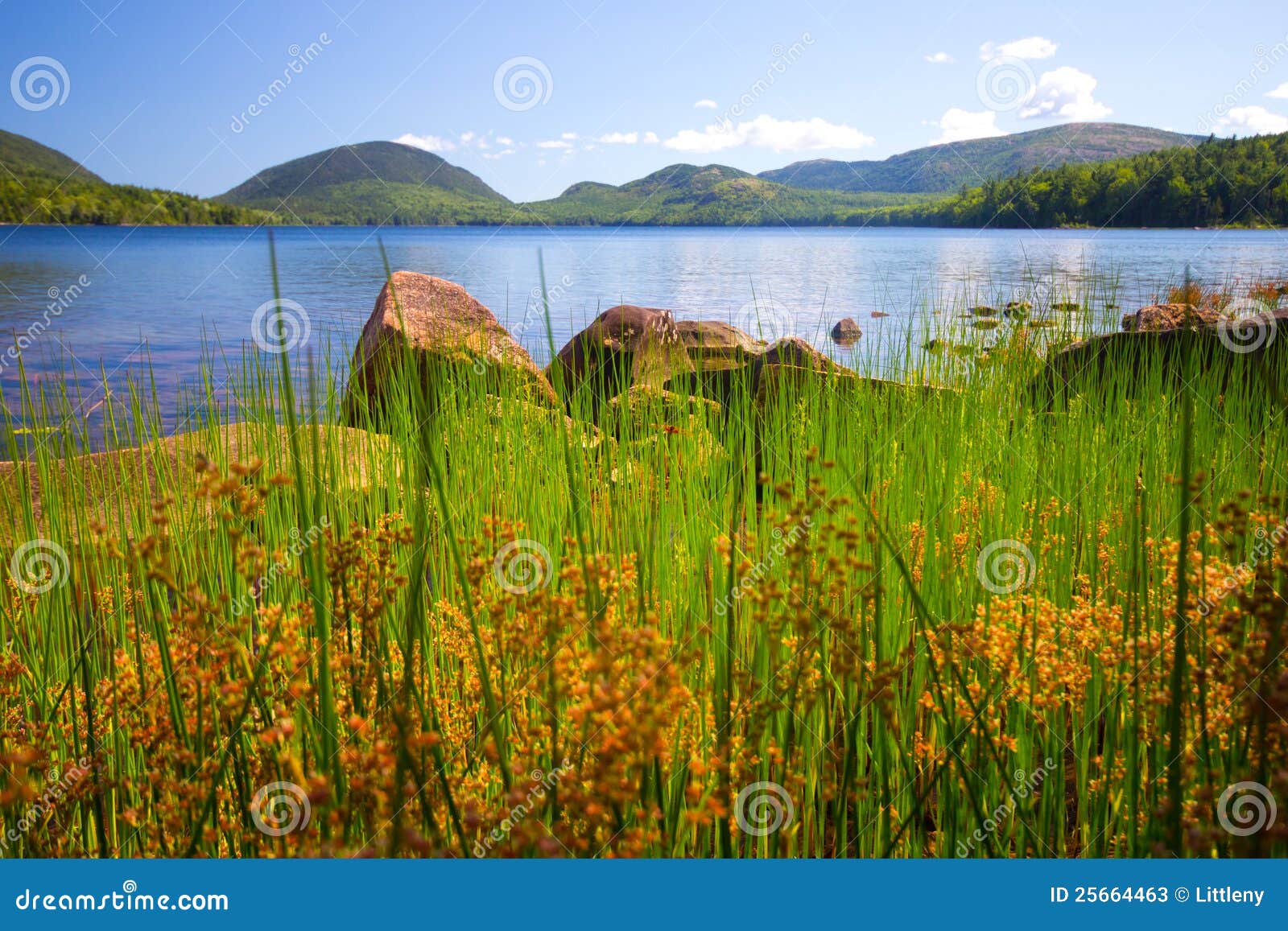 Landscape maine stock image. Image of nature, acadia 25664463