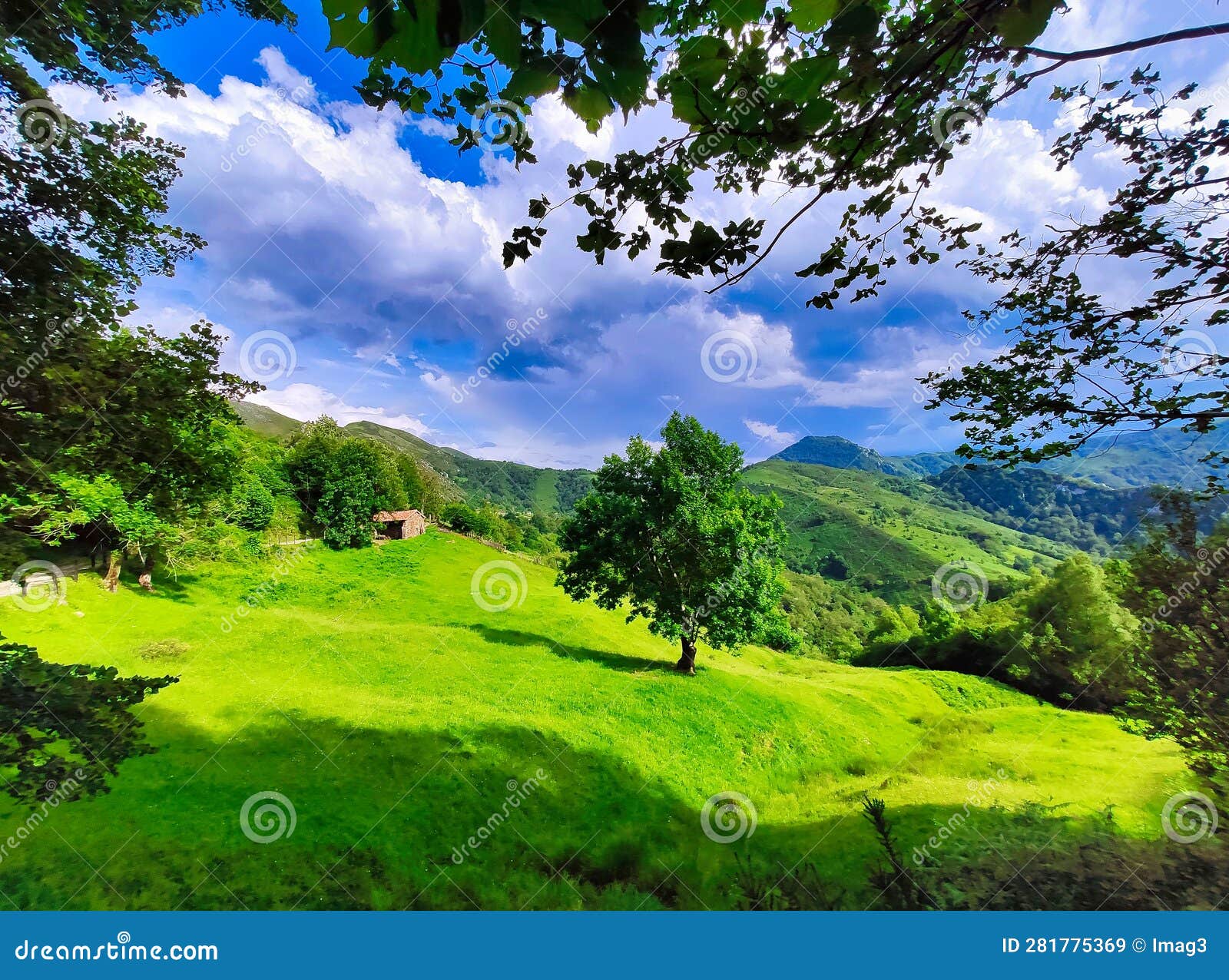 landscape with meadows near frieru track, redes natural park and biosphere reserve, caso municipality, asturias, spain