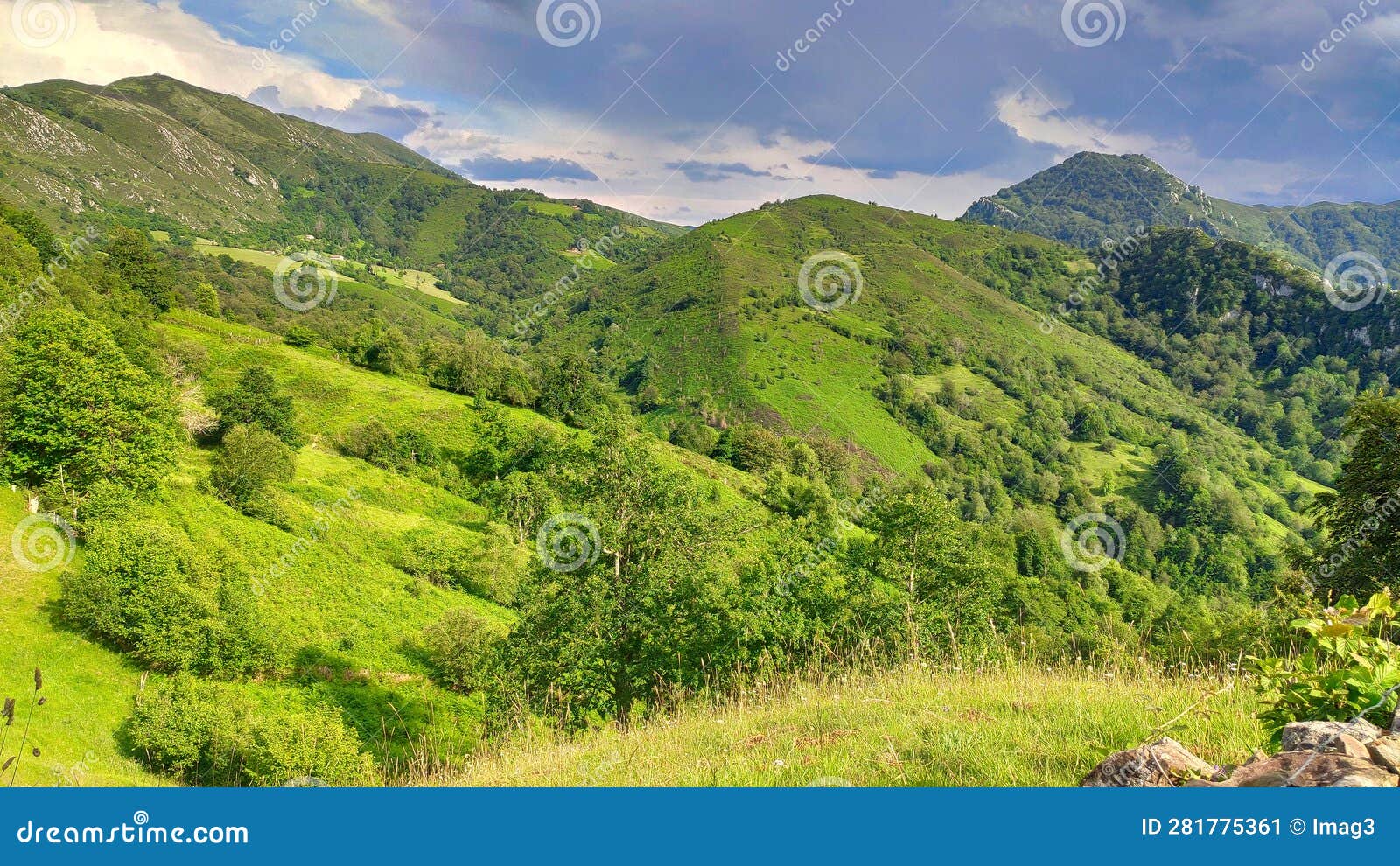landscape with meadows near frieru track, redes nature park and biosphere reserve, caso municipality, asturias, spain