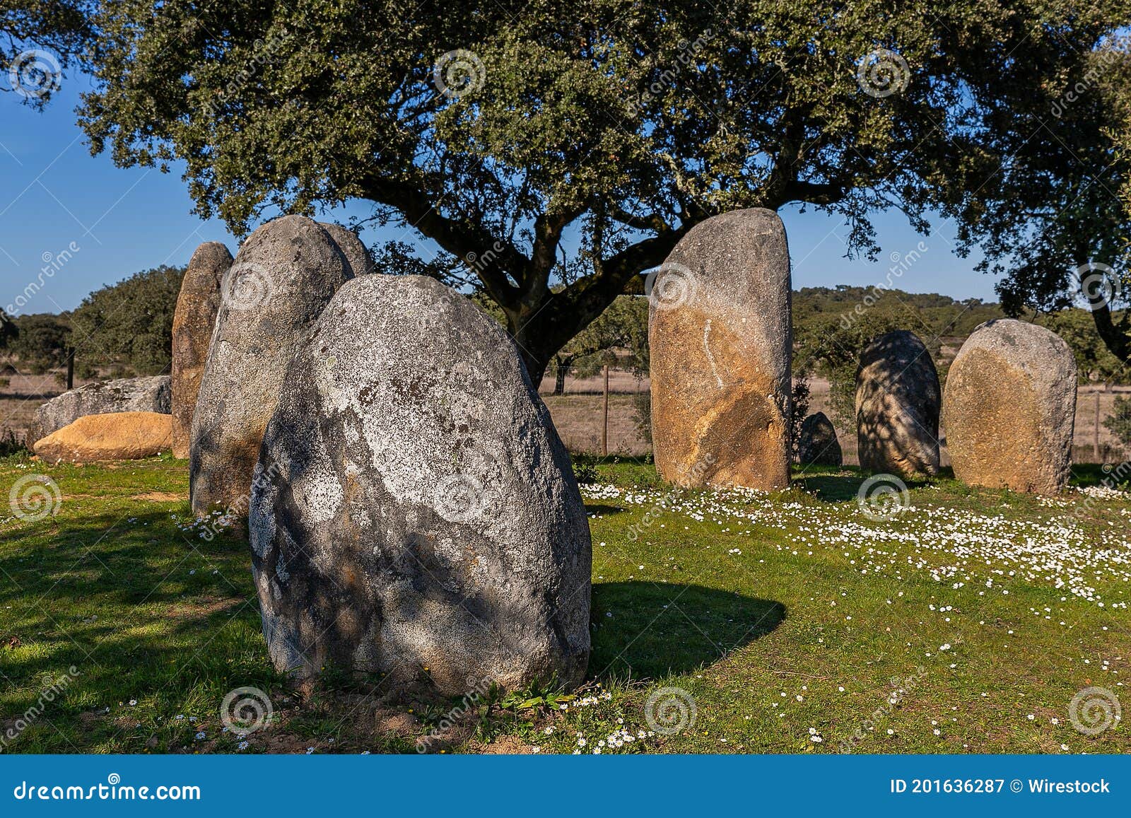 landscape of megalithic stone circle in vale maria do meio cromlech