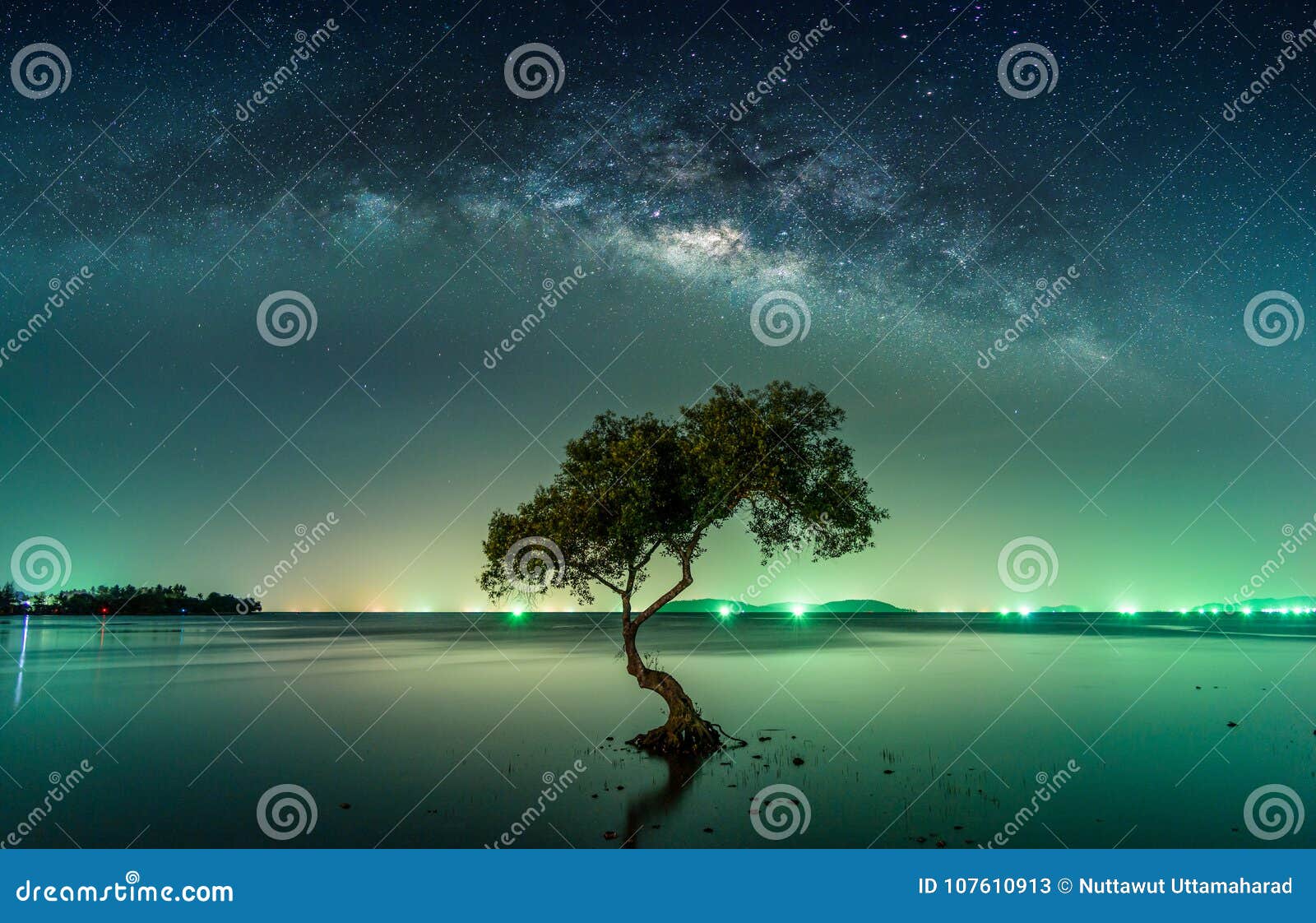 landscape with milky way galaxy. night sky with stars
