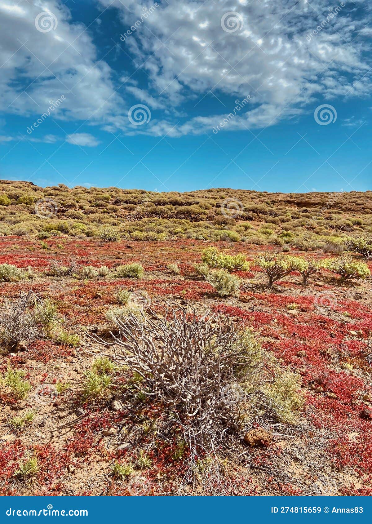 landscape of montaÃ±a pelada natural reserve on a sunny day