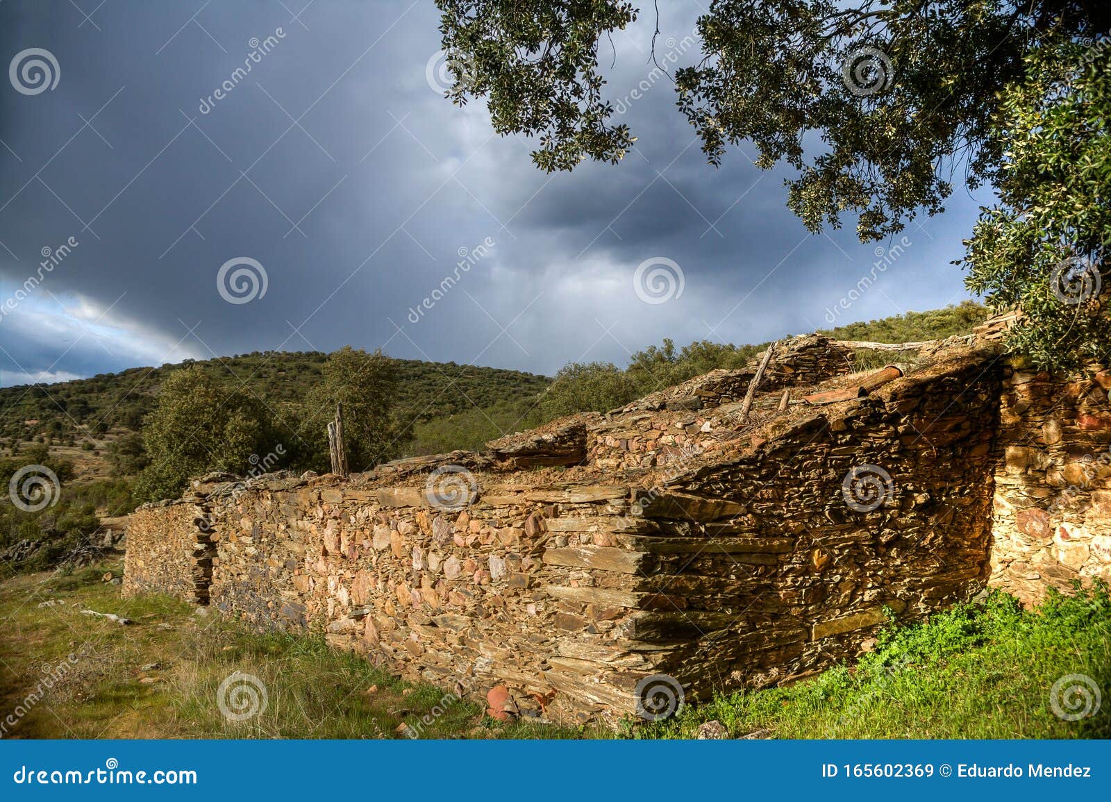 landscape in the montes de toledo, castilla la mancha, spain